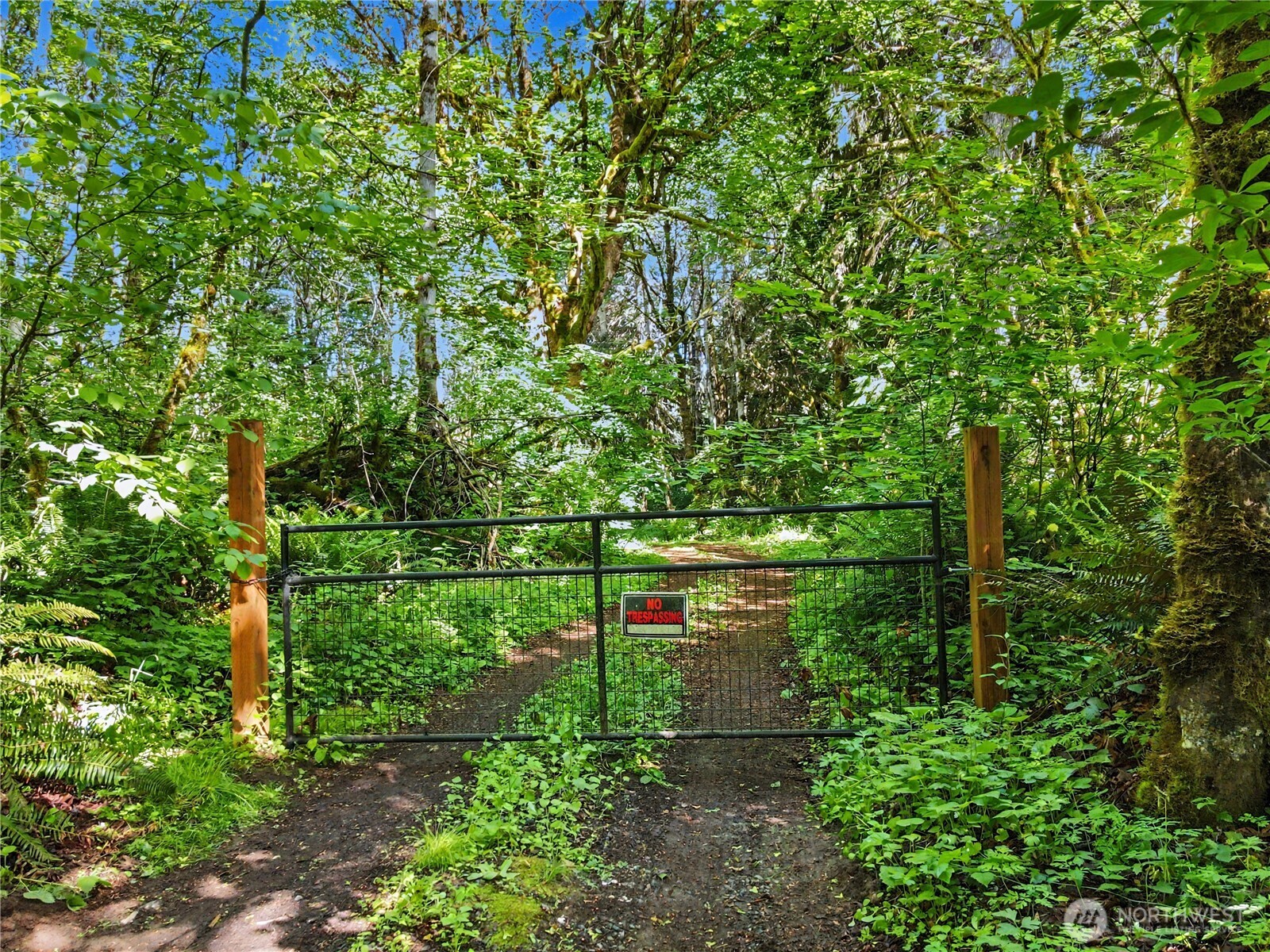 0 Wildwood Road Property Photo 12