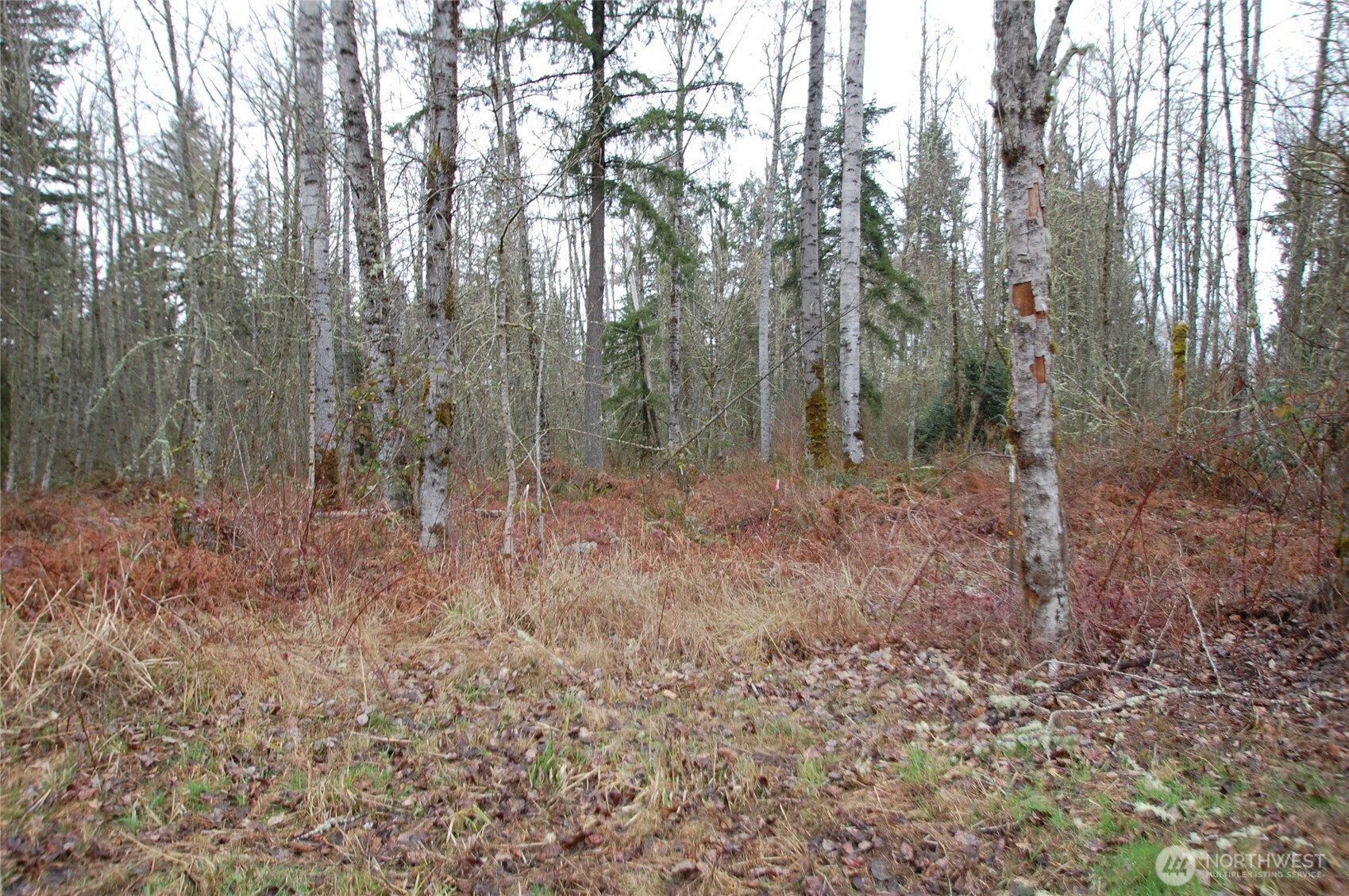 31809 116th Avenue Property Photo 1