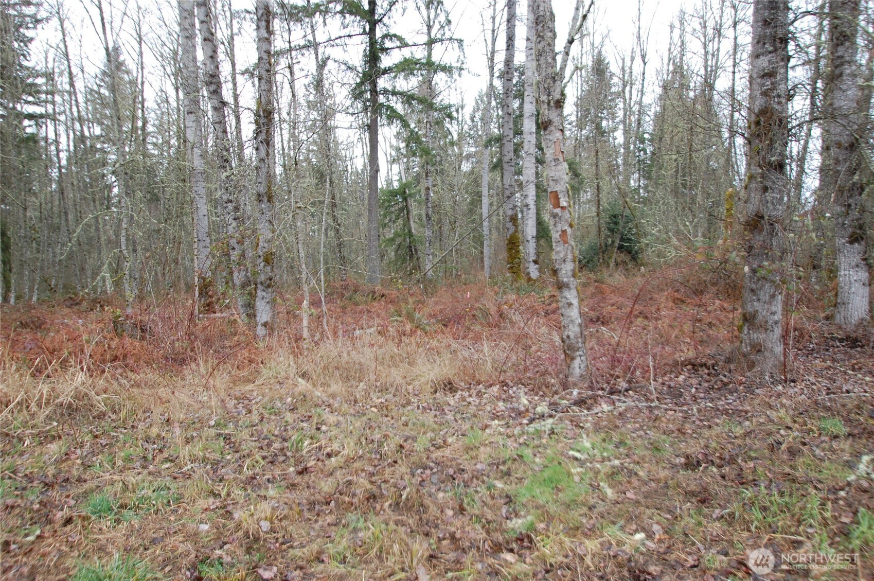 31809 116th Avenue Property Photo 9