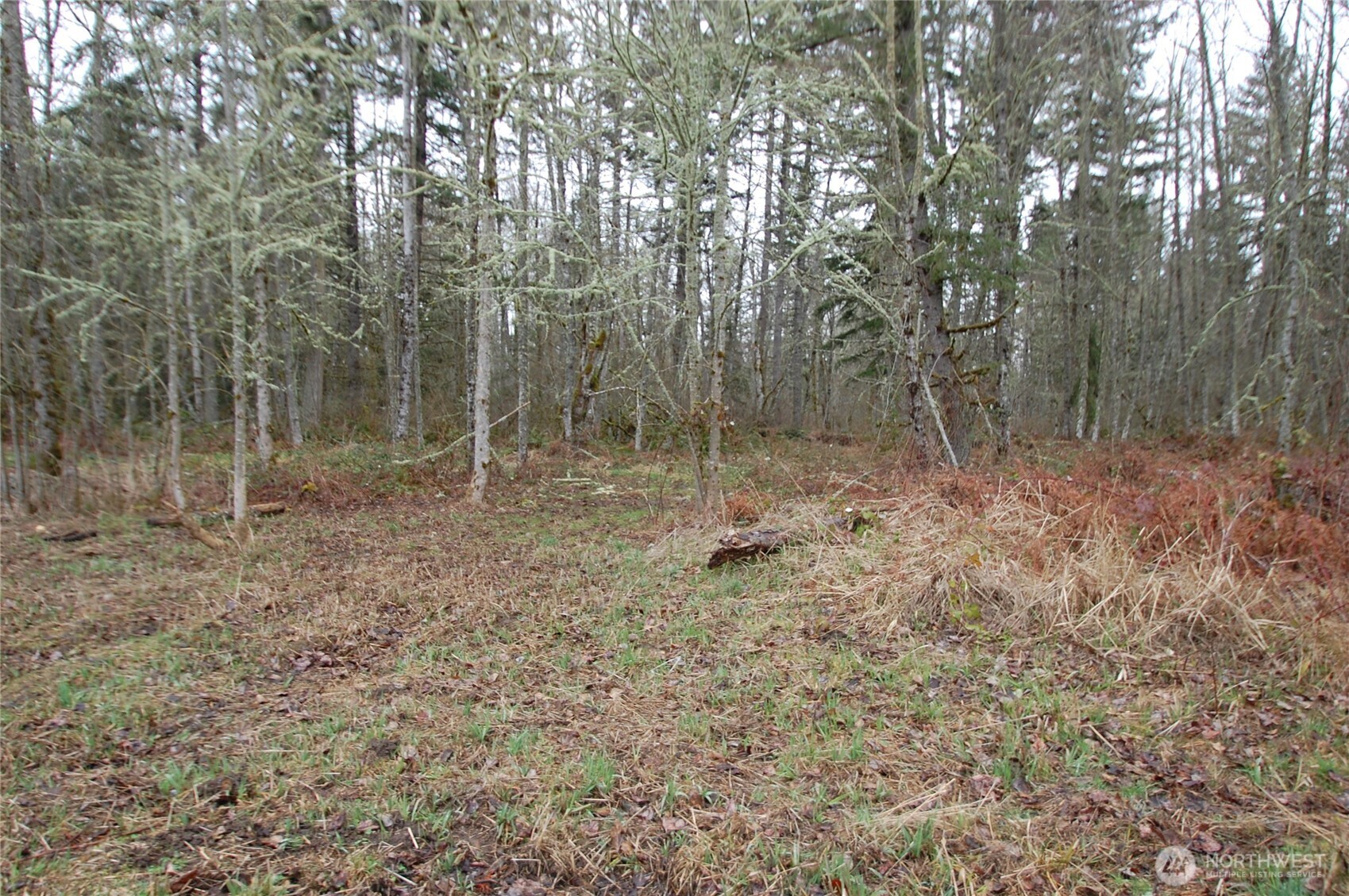 31809 116th Avenue Property Photo 10