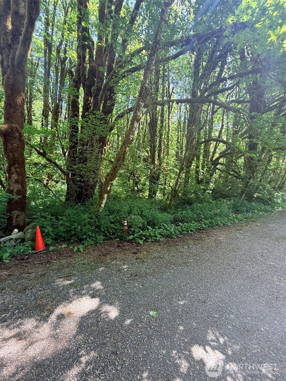 10204 Foss River Place Property Photo 3
