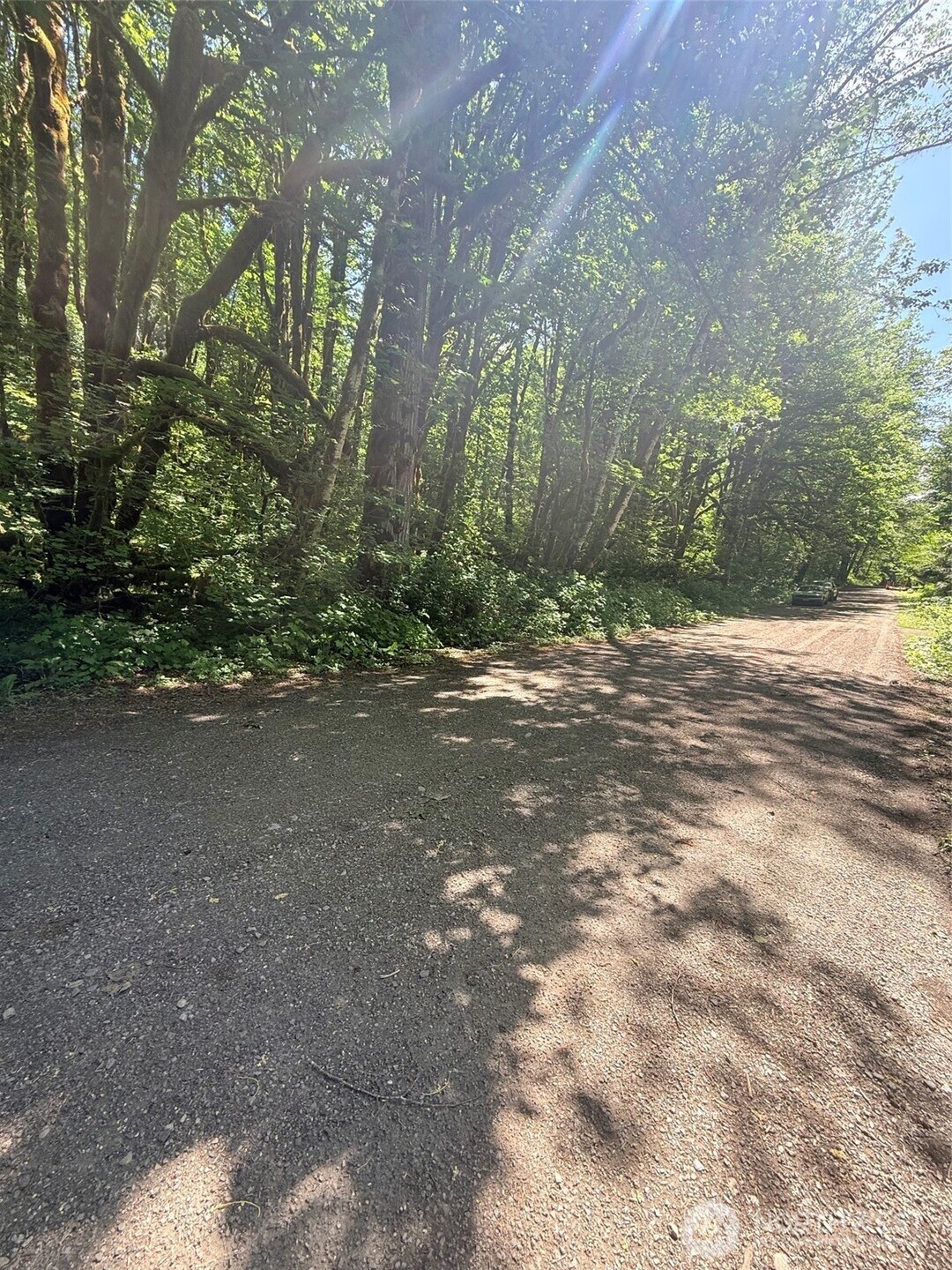 10204 Foss River Place Property Photo 4