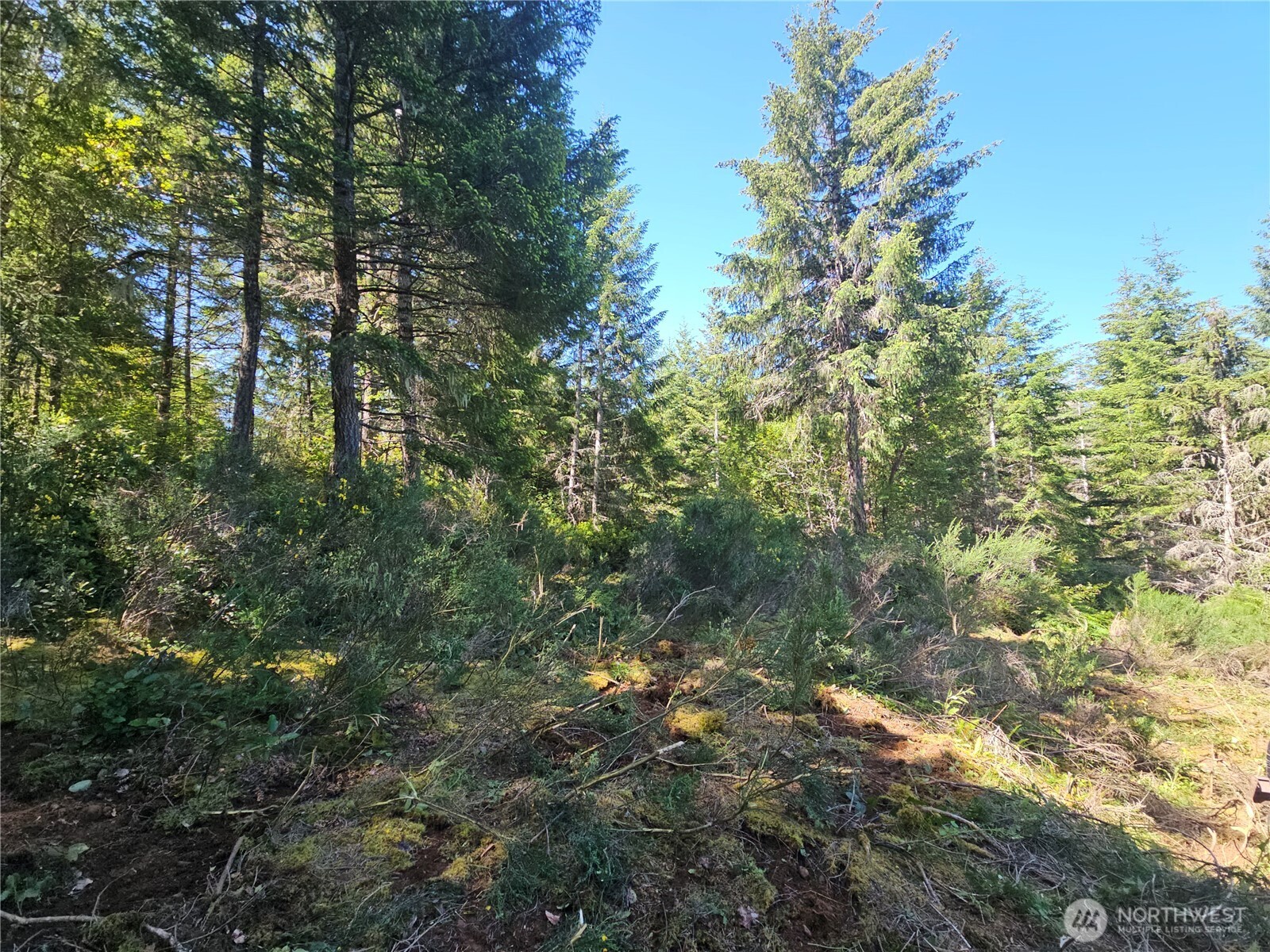 400 Xxx Southridge Drive Property Photo 6