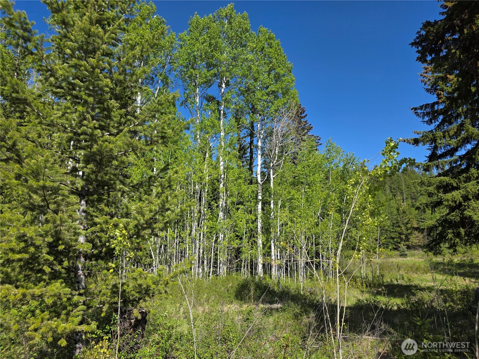 393 Summer Road Property Photo 17