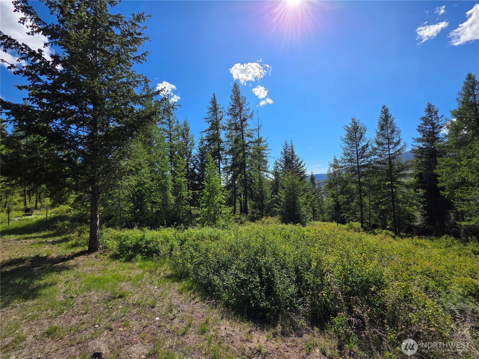 393 Summer Road Property Photo 19