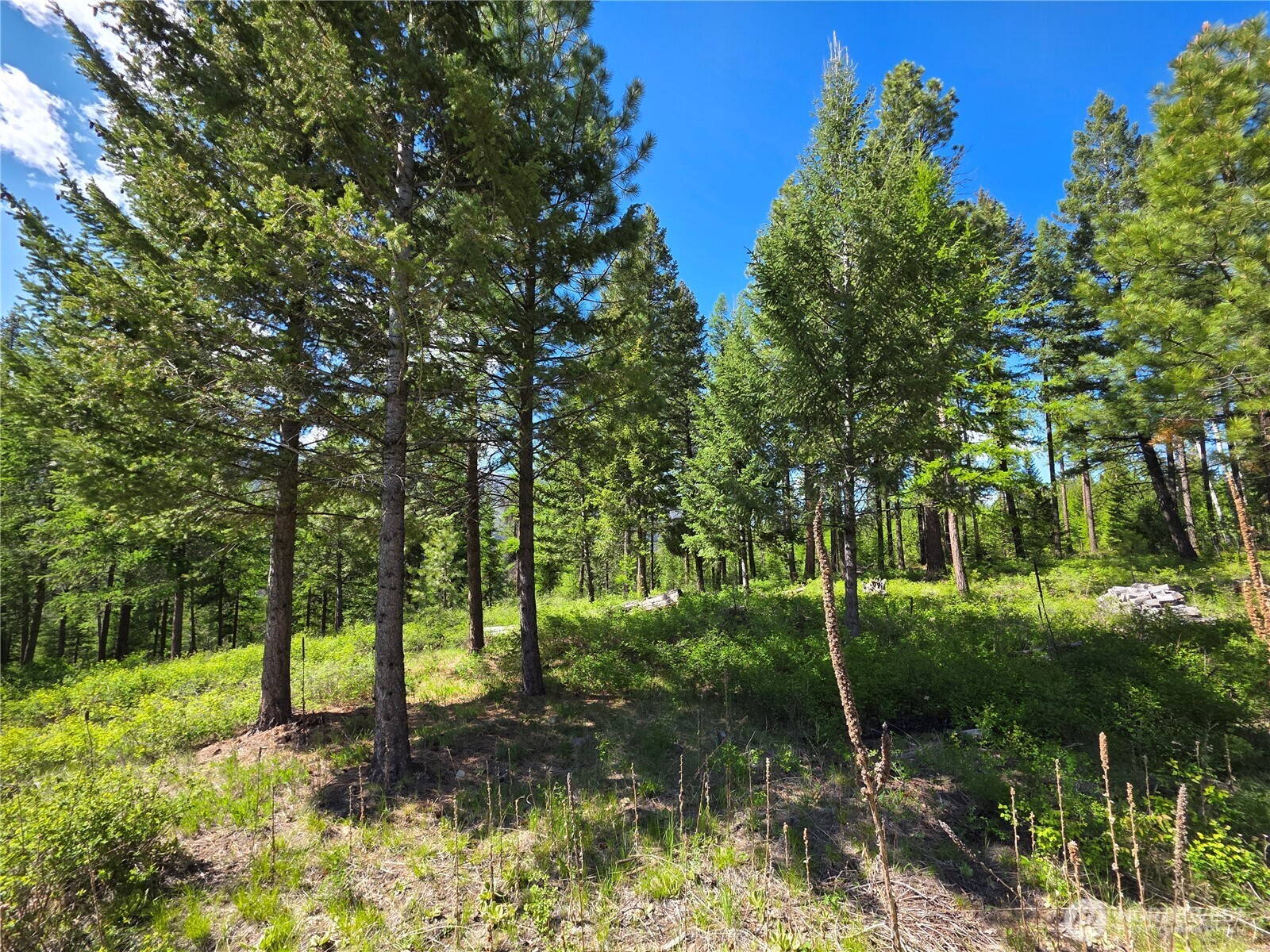 393 Summer Road Property Photo 20