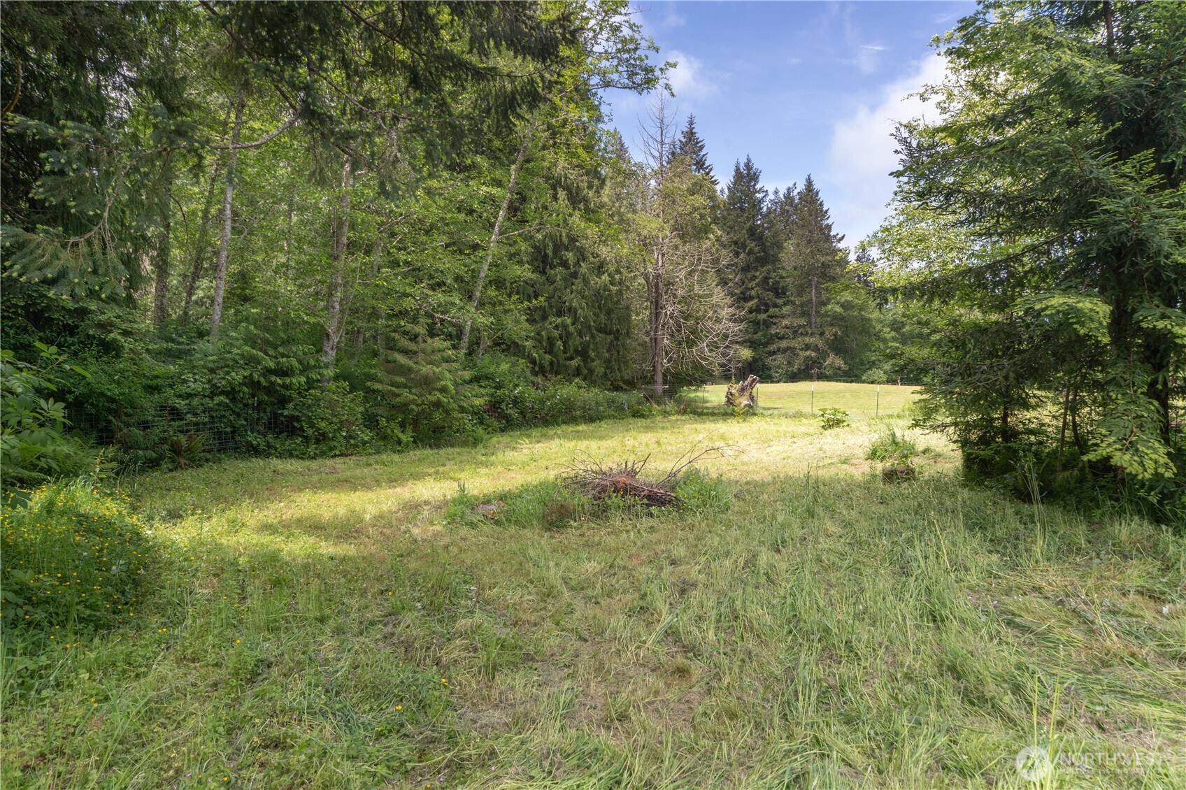 290 Werner Road Property Photo 37