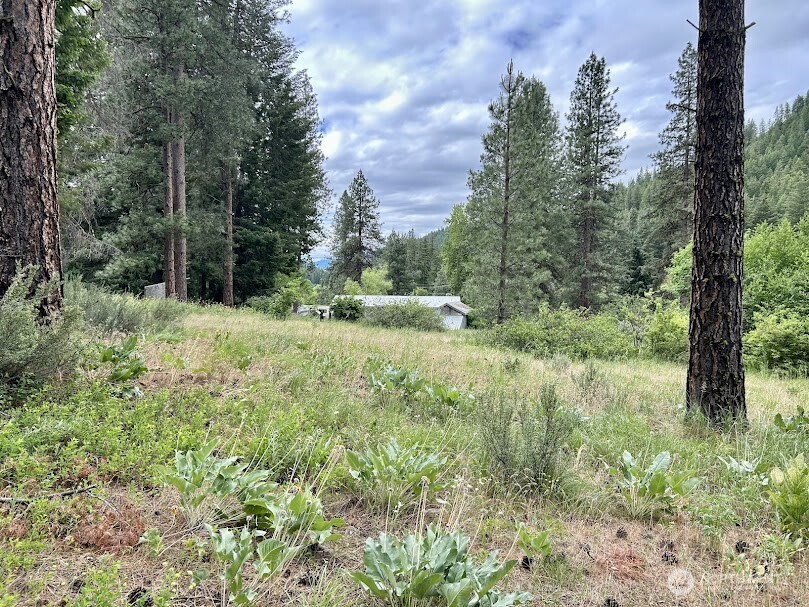 15425 Chumstick Highway Property Photo 1