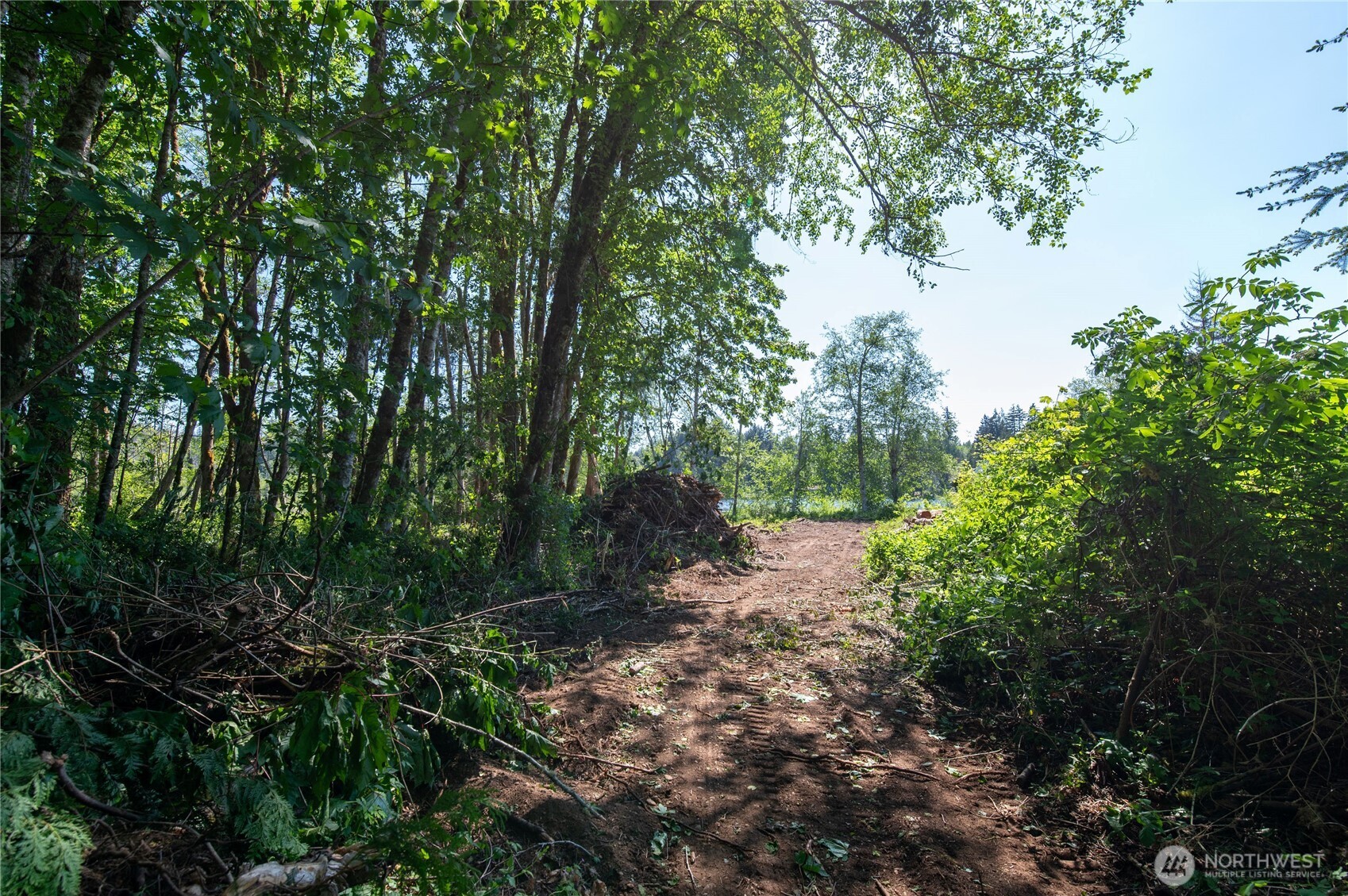 0 Gold Creek Road Property Photo 19