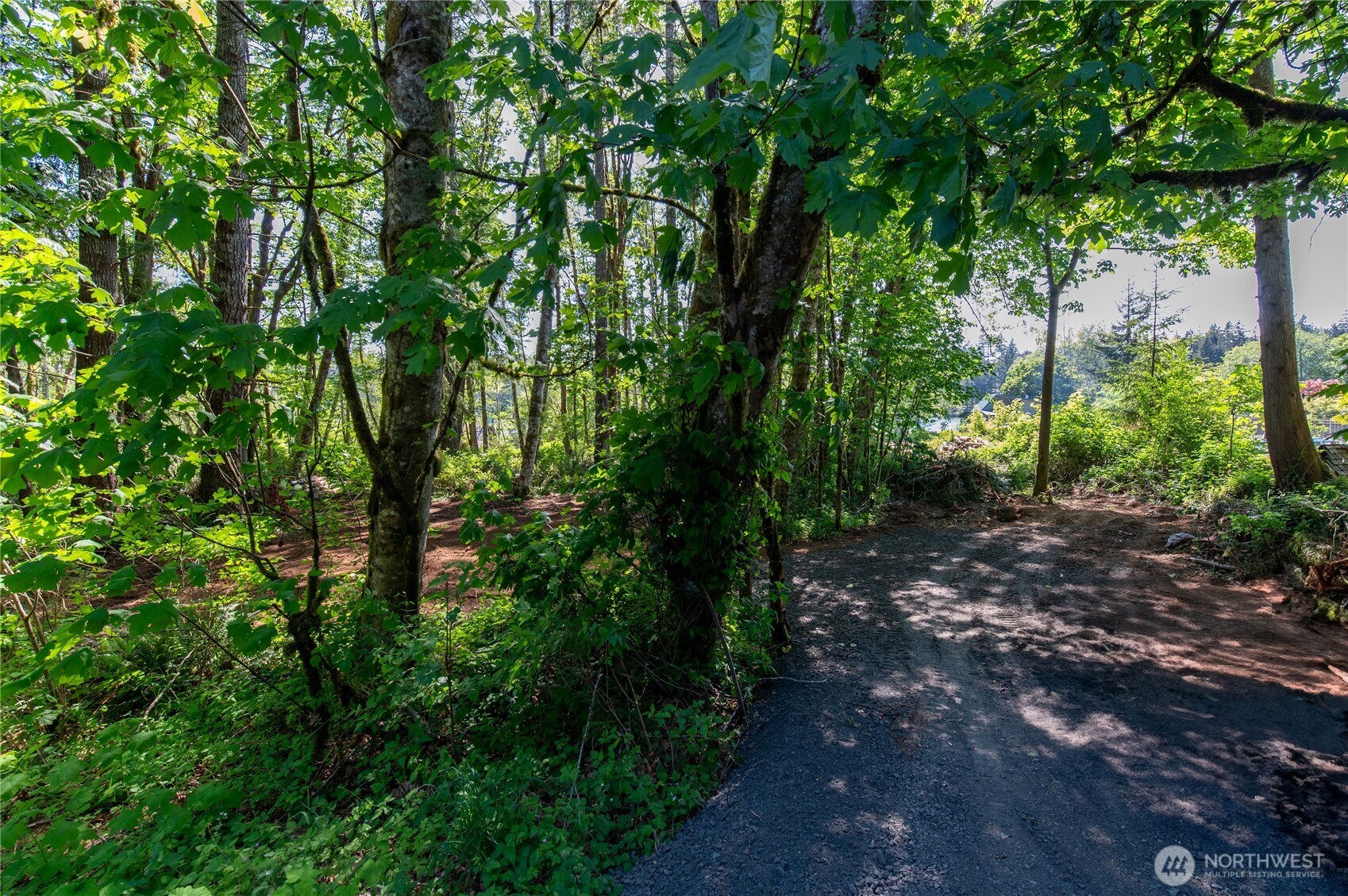 0 Gold Creek Road Property Photo 25