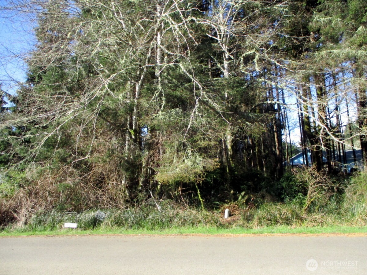 111 Olympic View Avenue Property Photo 7