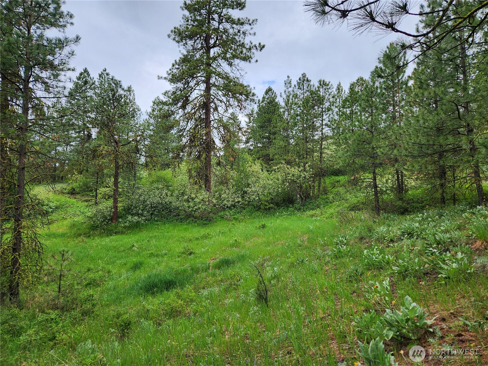 0 74 & 75 Gold Mt. Road Property Photo 1