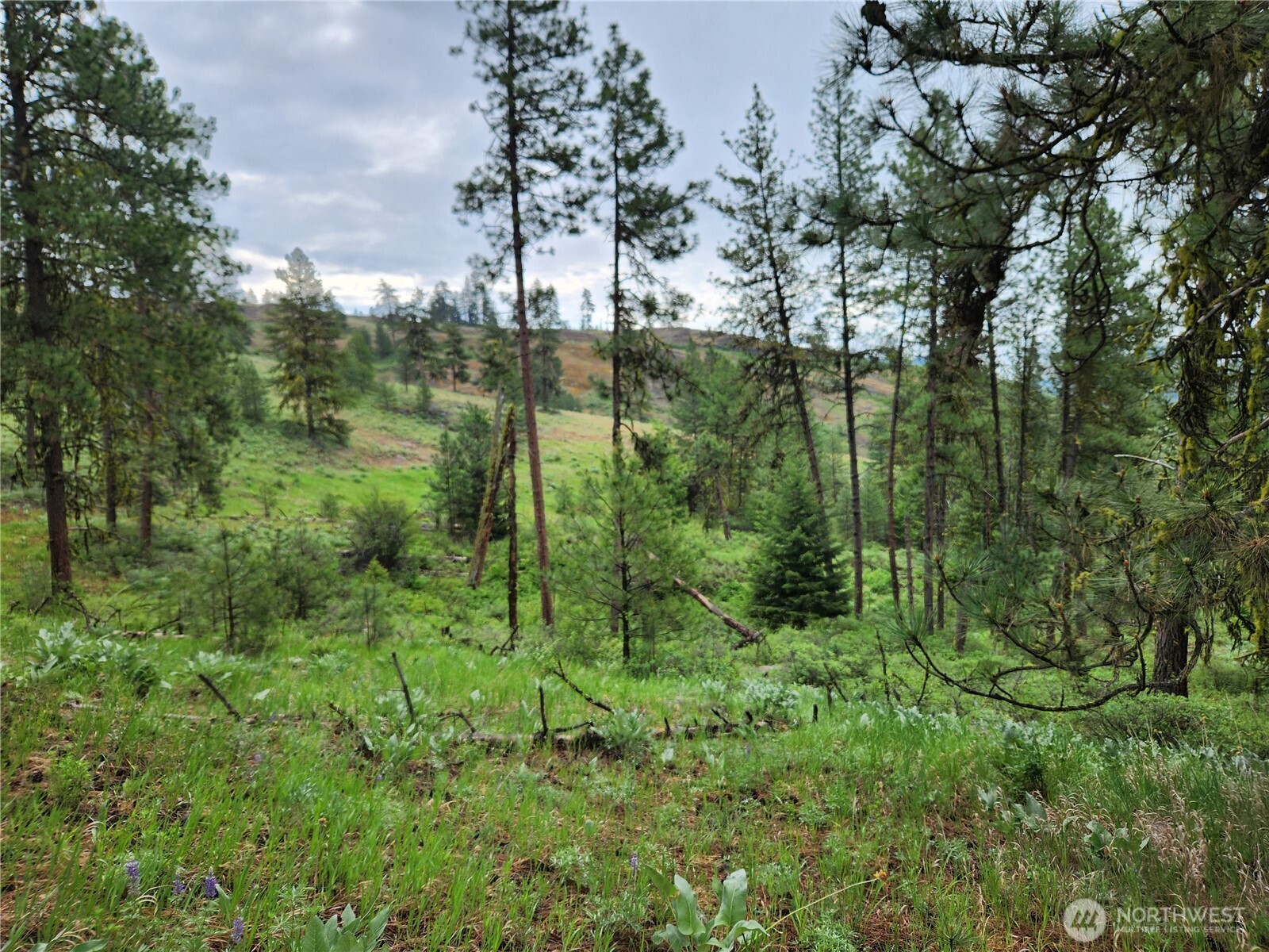 0 74 & 75 Gold Mt. Road Property Photo 2