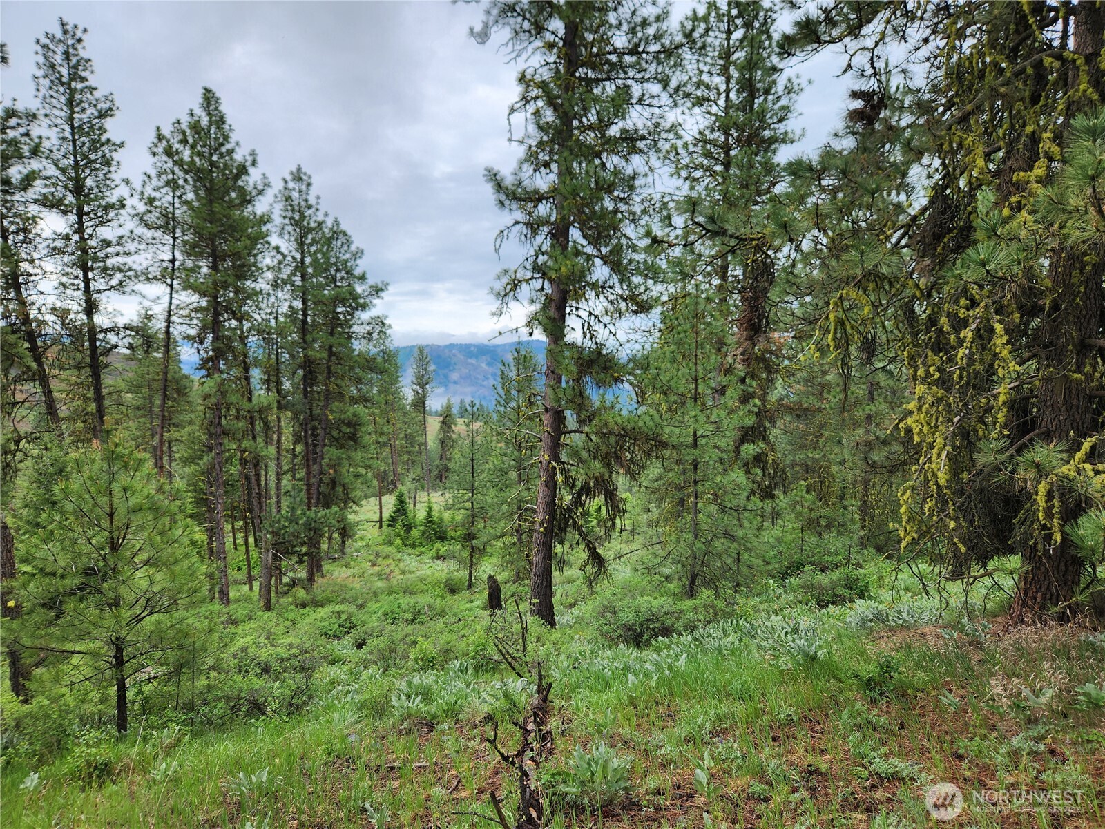 0 74 & 75 Gold Mt. Road Property Photo 3