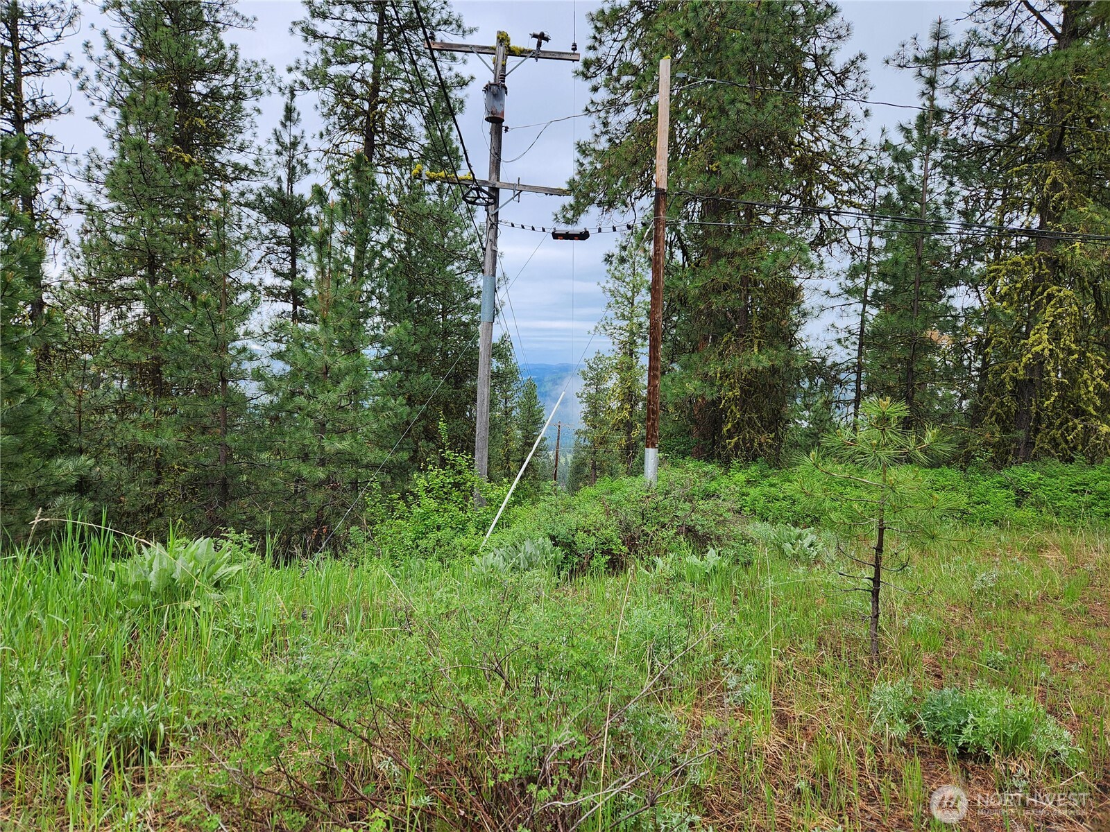 0 74 & 75 Gold Mt. Road Property Photo 4