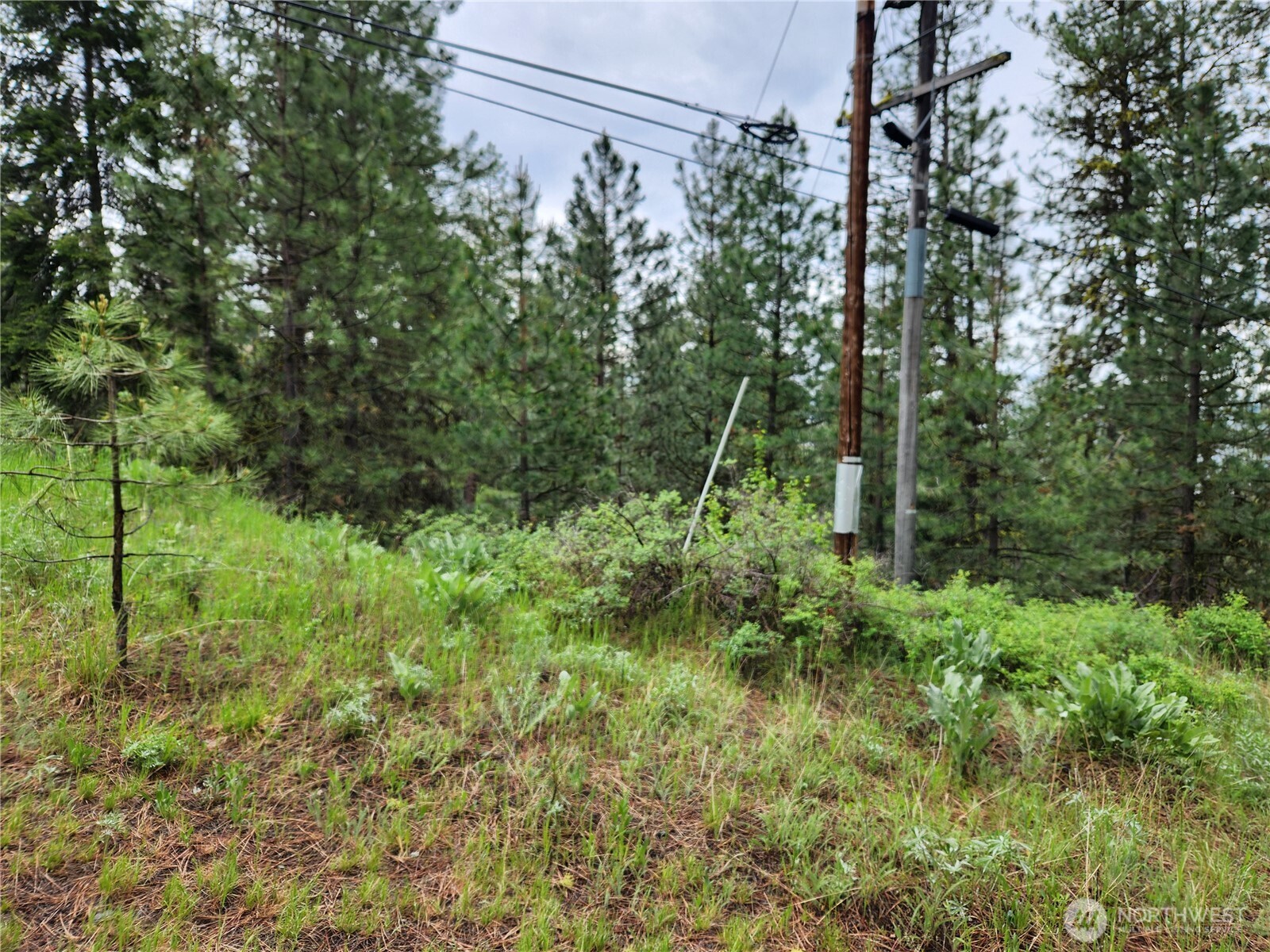 0 74 & 75 Gold Mt. Road Property Photo 5