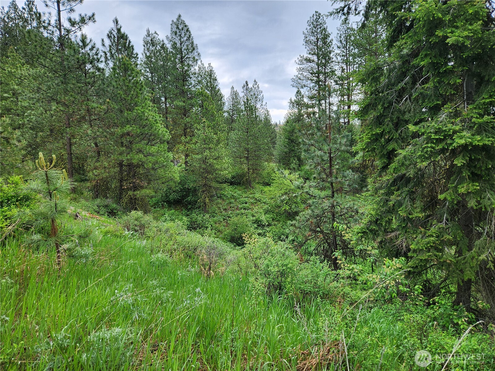 0 74 & 75 Gold Mt. Road Property Photo 6