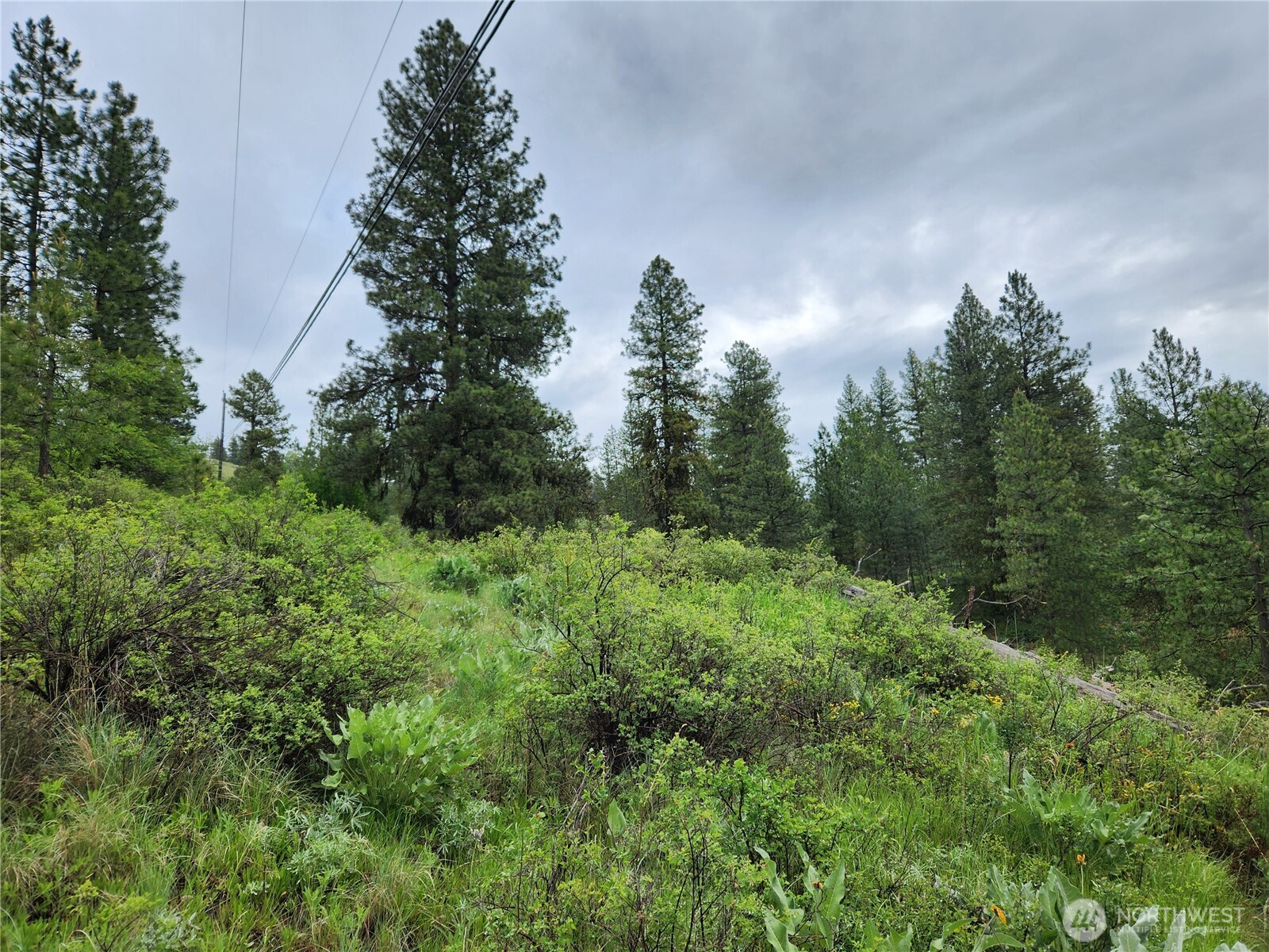 0 74 & 75 Gold Mt. Road Property Photo 7
