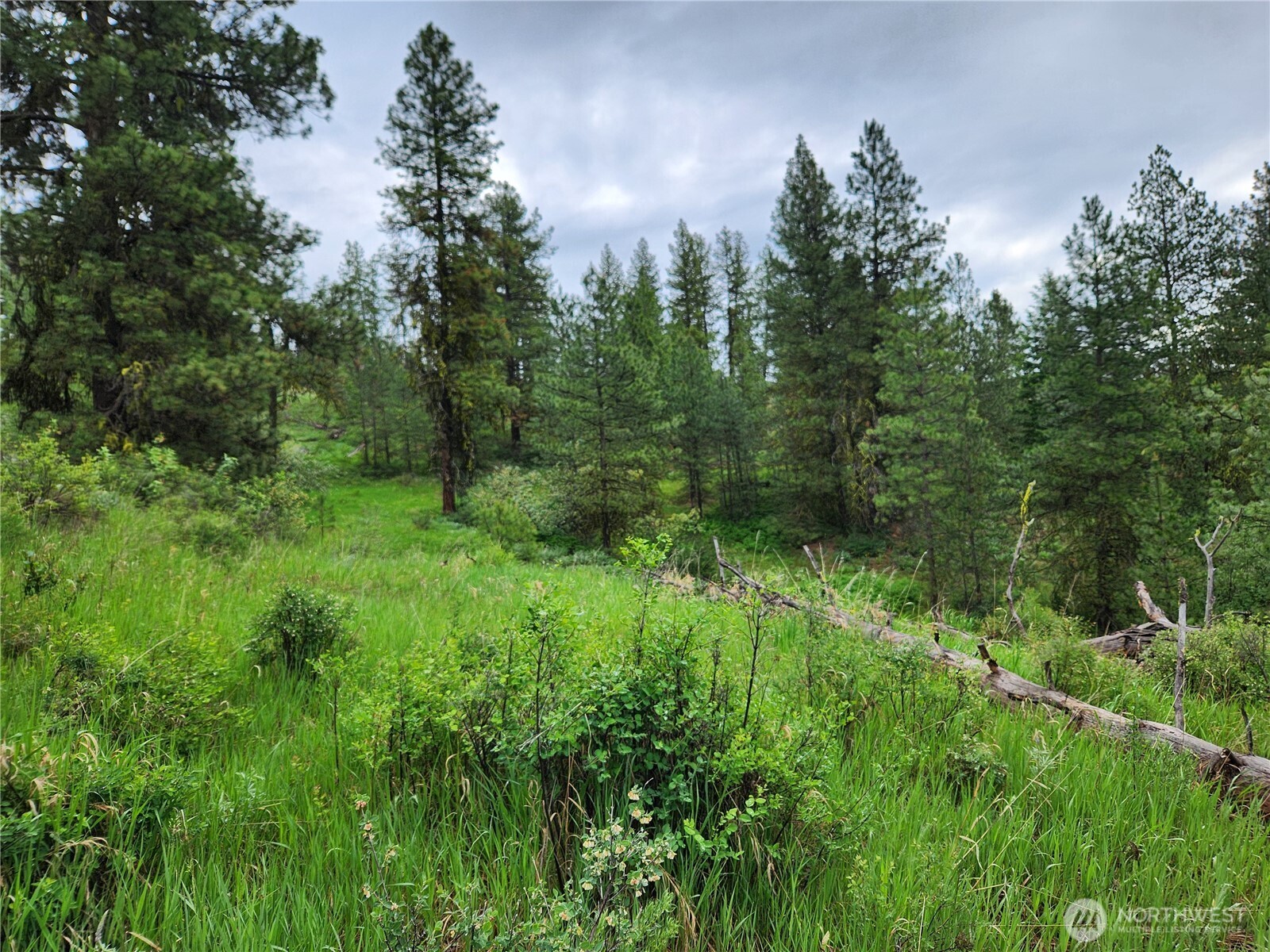 0 74 & 75 Gold Mt. Road Property Photo 8