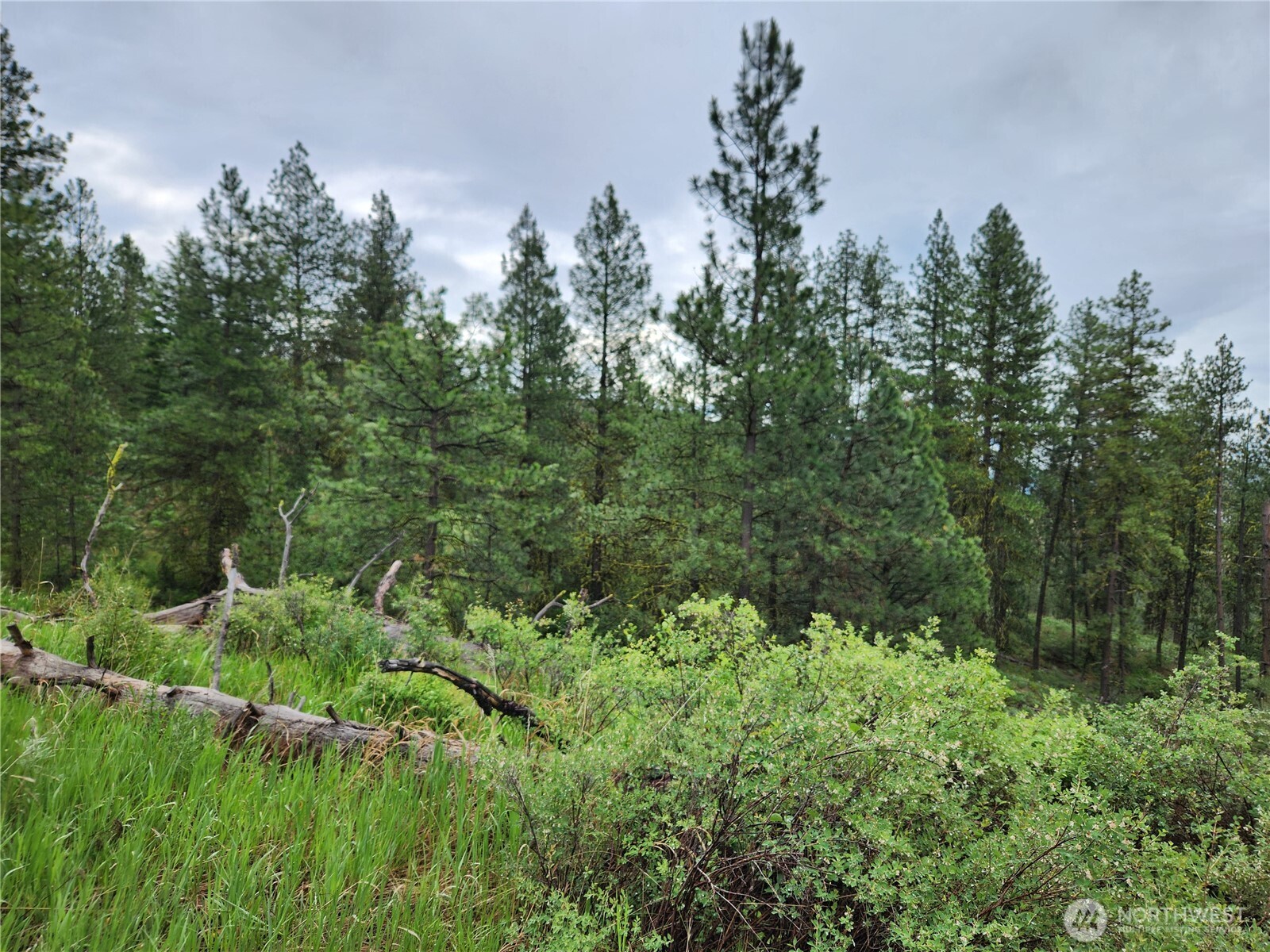 0 74 & 75 Gold Mt. Road Property Photo 9