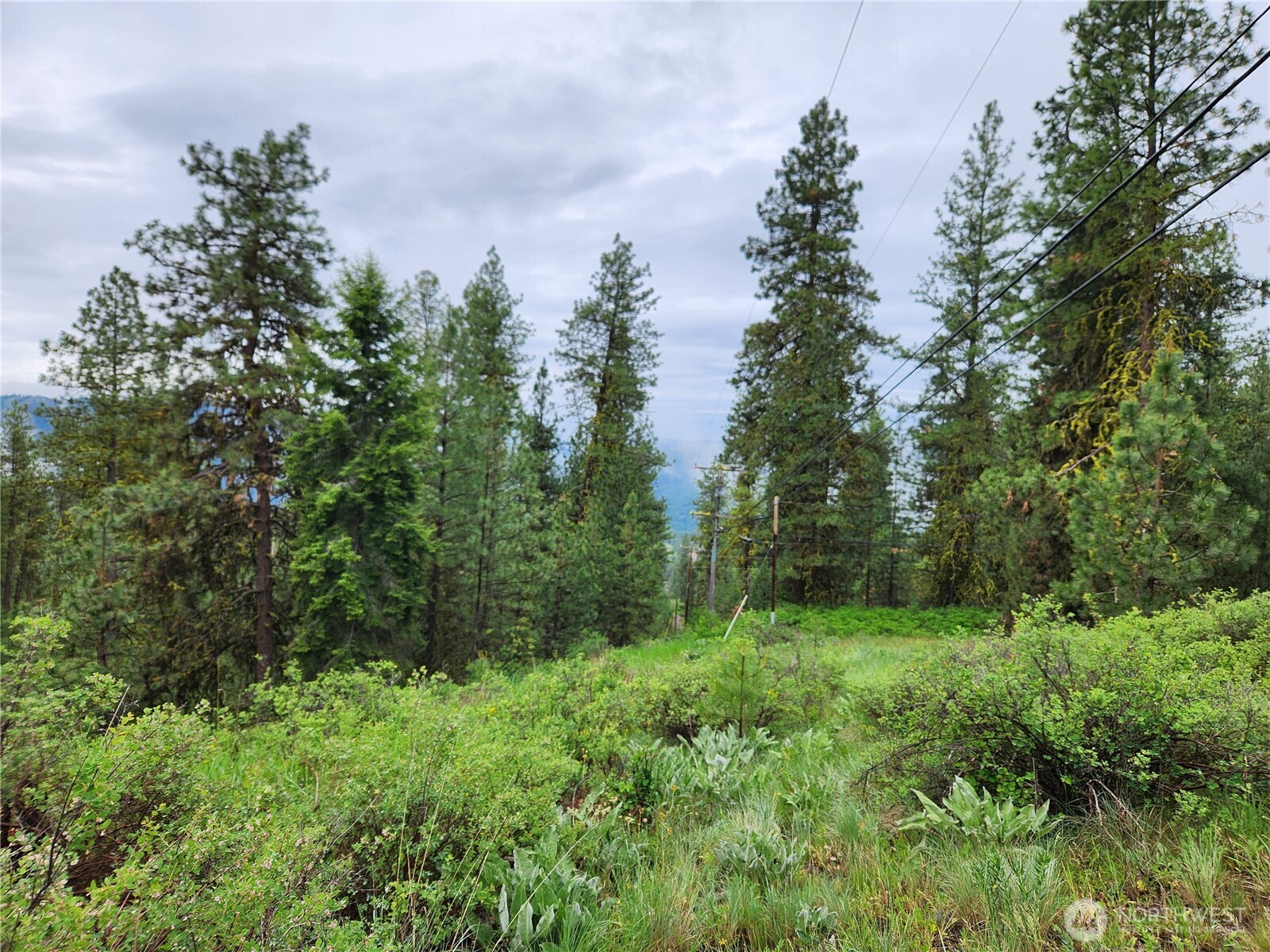 0 74 & 75 Gold Mt. Road Property Photo 10