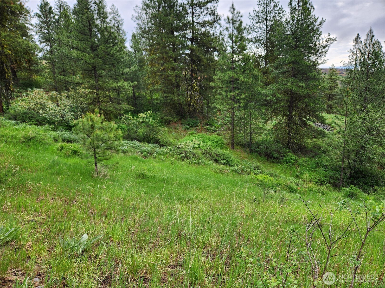 0 74 & 75 Gold Mt. Road Property Photo 11
