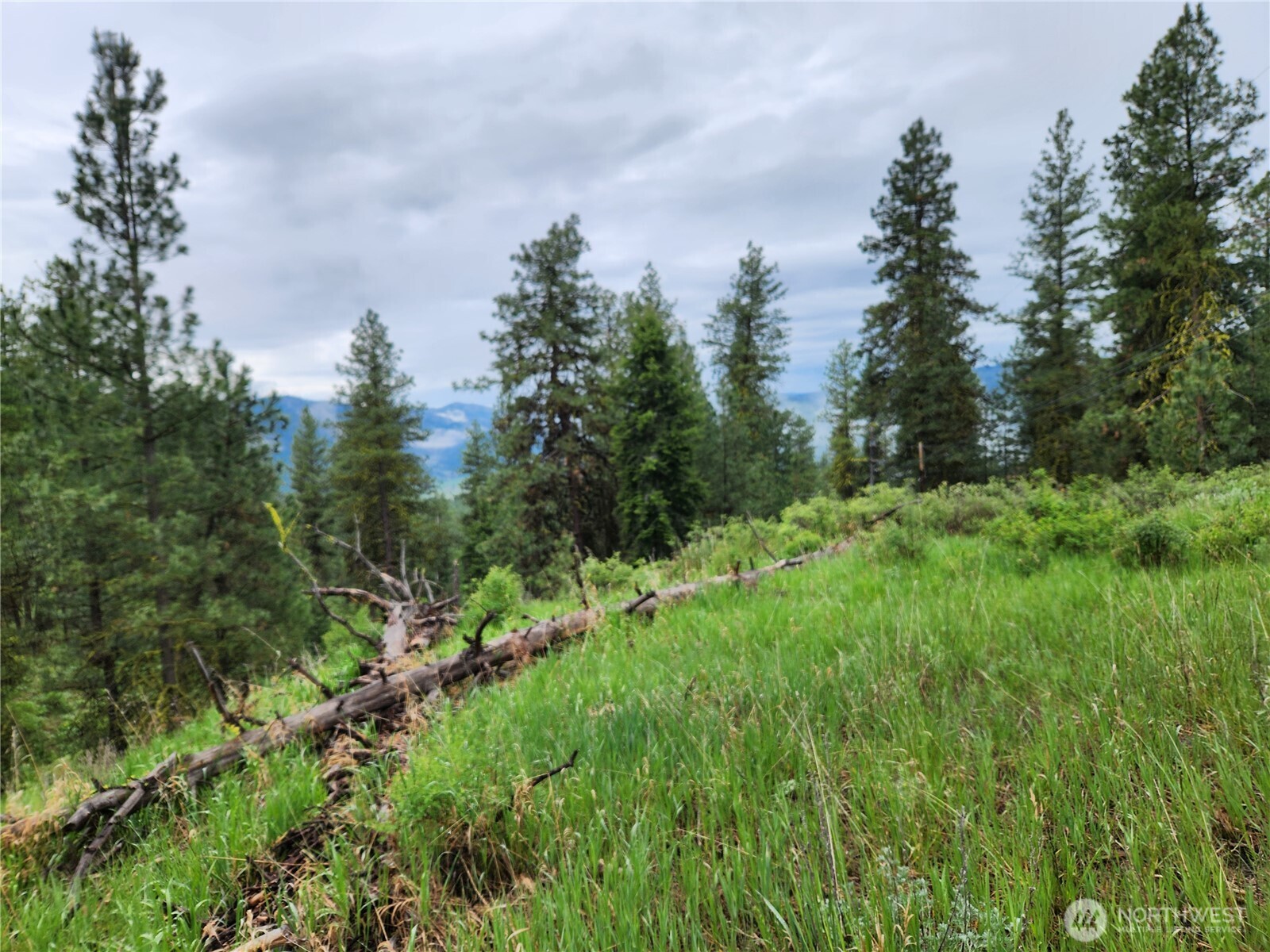 0 74 & 75 Gold Mt. Road Property Photo 12