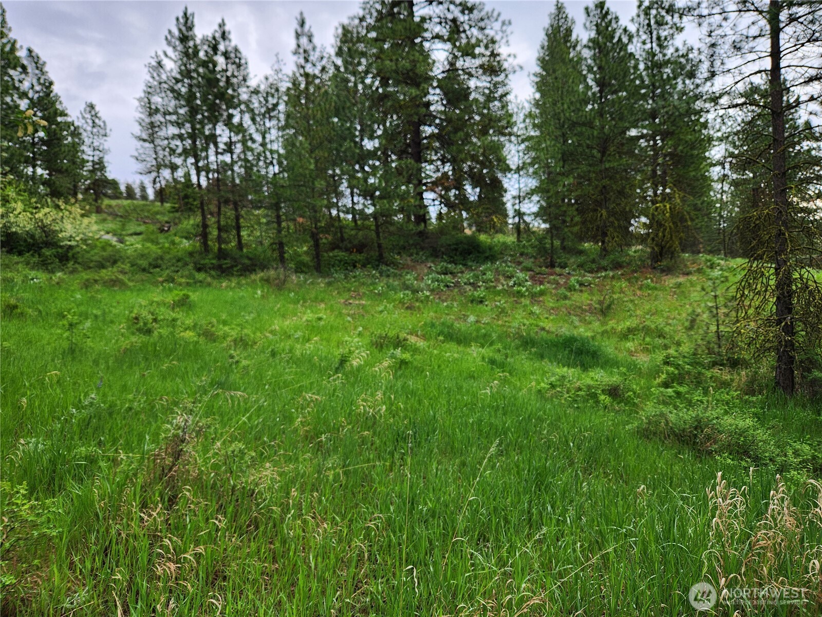 0 74 & 75 Gold Mt. Road Property Photo 13