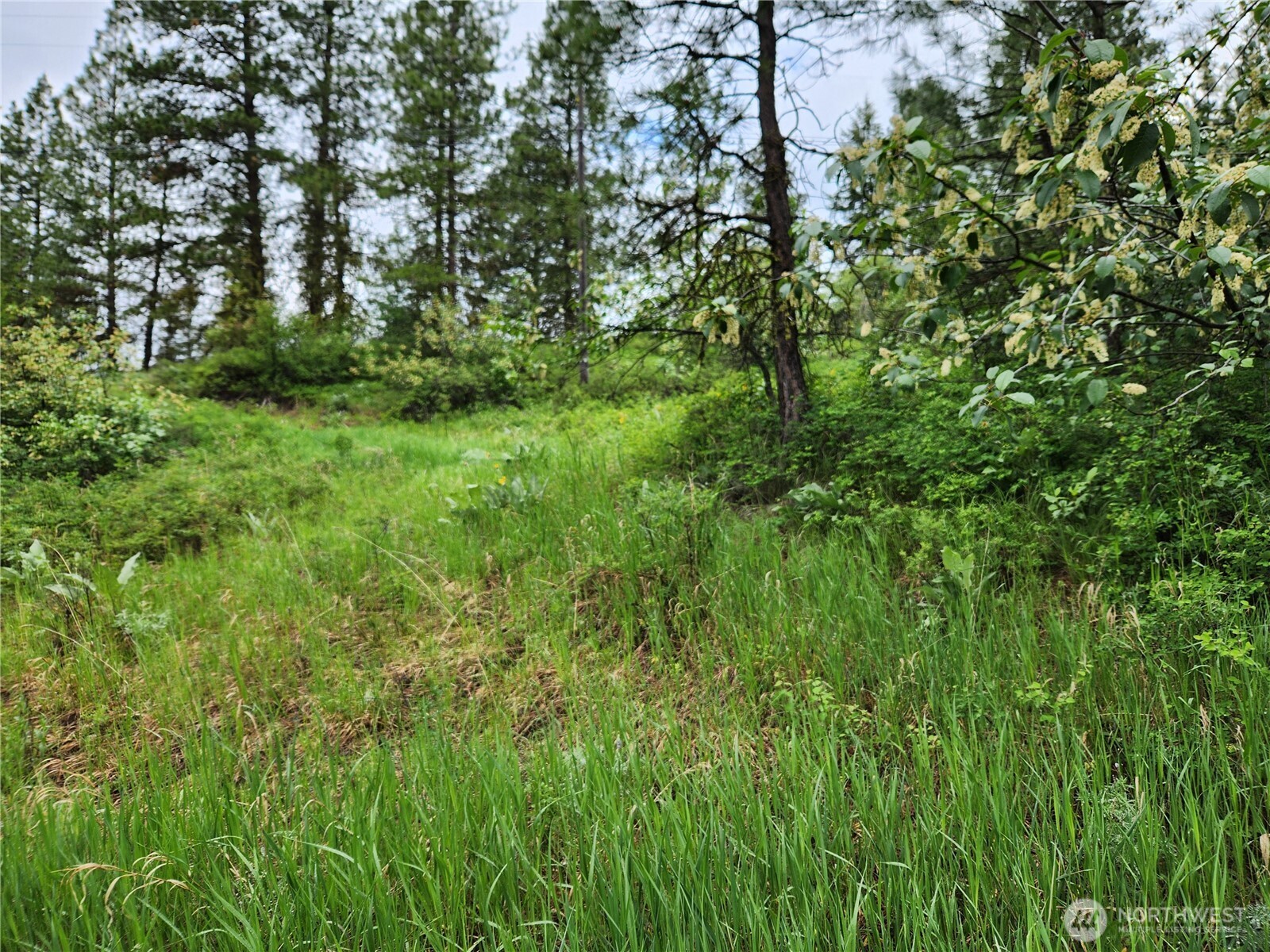 0 74 & 75 Gold Mt. Road Property Photo 14