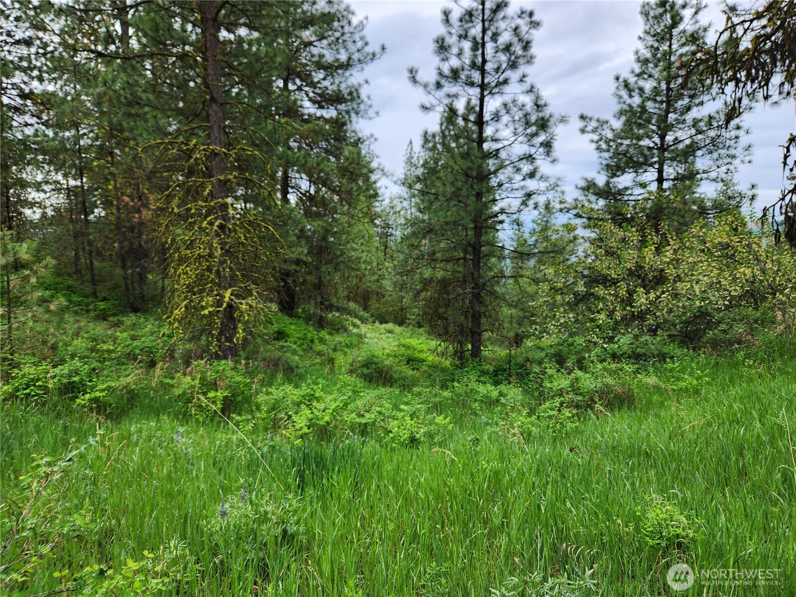0 74 & 75 Gold Mt. Road Property Photo 15