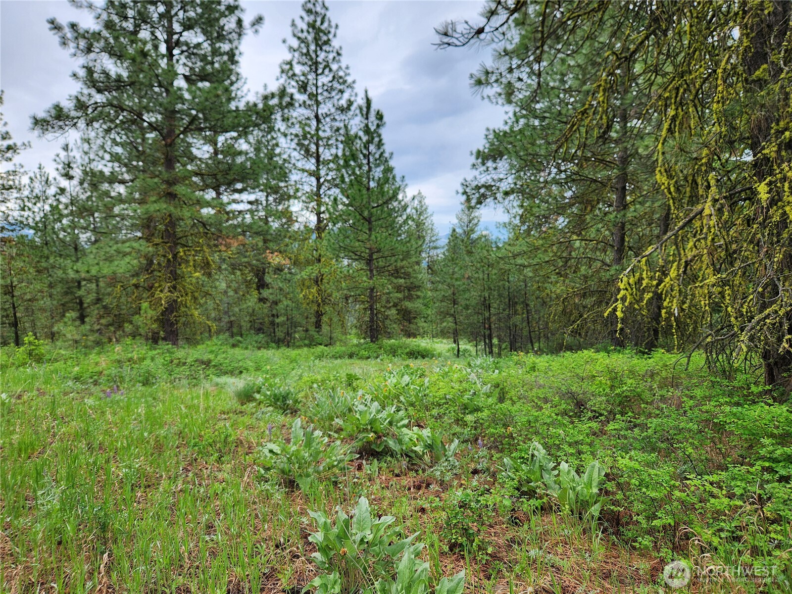 0 74 & 75 Gold Mt. Road Property Photo 16