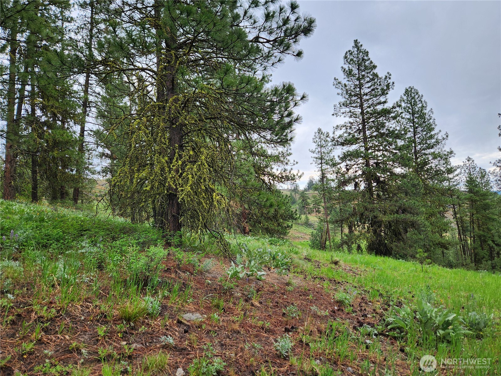 0 74 & 75 Gold Mt. Road Property Photo 17