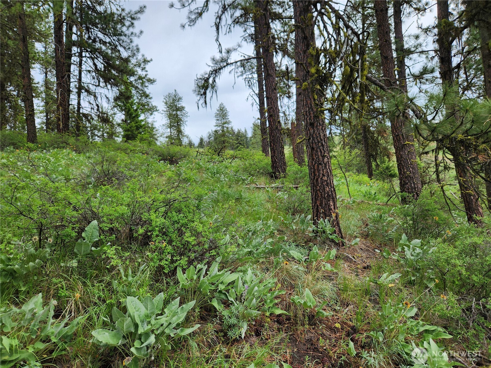 0 74 & 75 Gold Mt. Road Property Photo 21