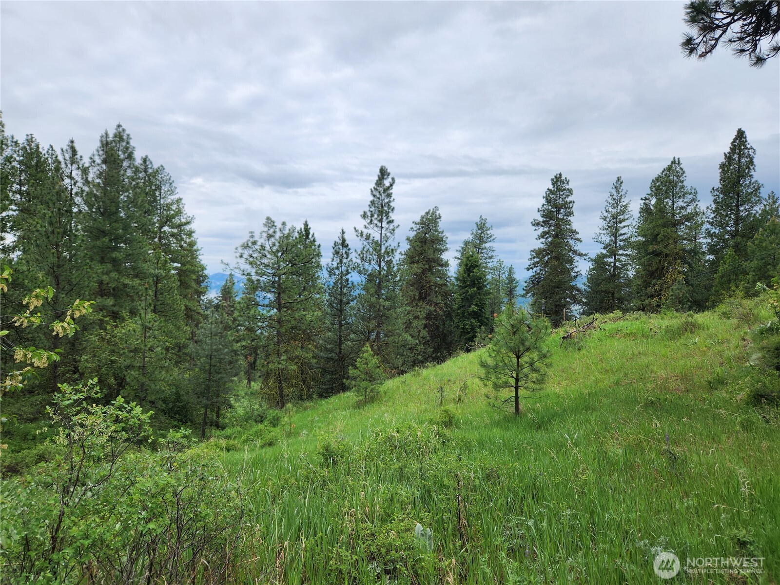 0 74 & 75 Gold Mt. Road Property Photo 24