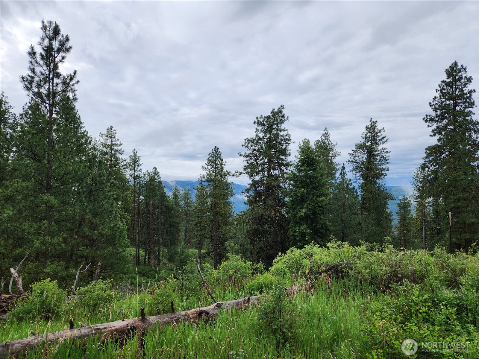 0 74 & 75 Gold Mt. Road Property Photo 25