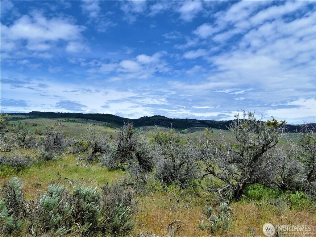 1 Colockum Road Property Photo 22