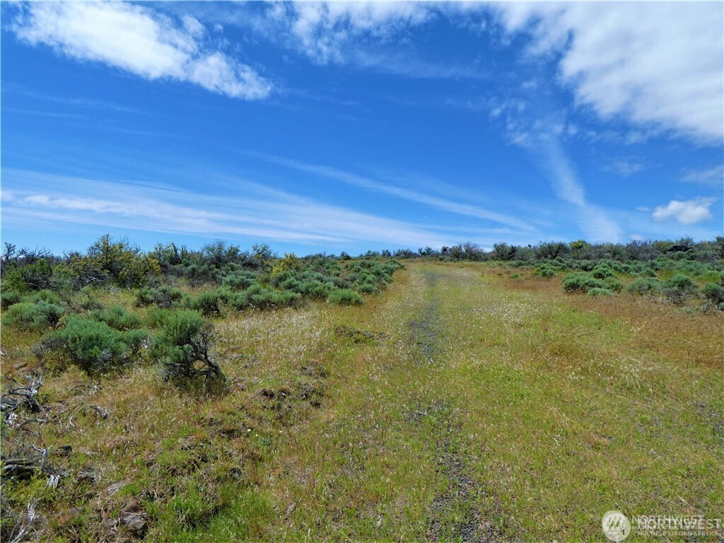 1 Colockum Road Property Photo 25