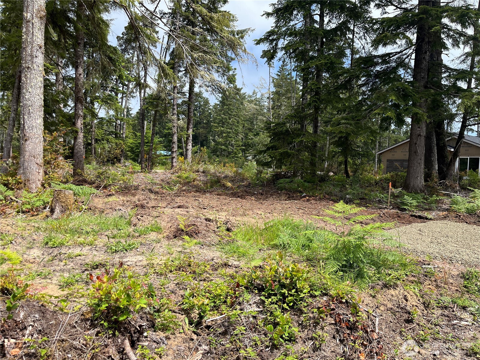 27708 V Street Property Photo 9