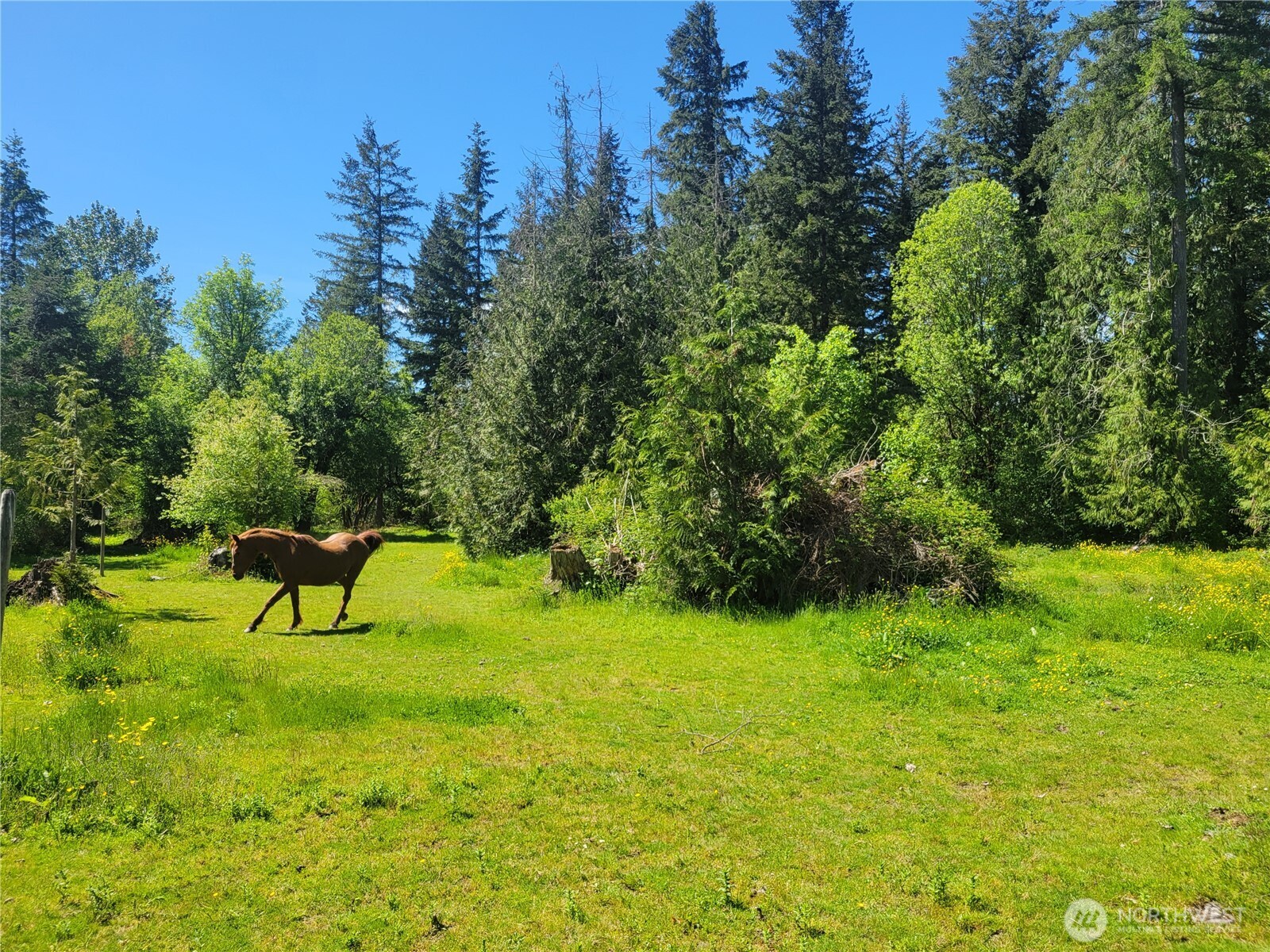632 Meier Road Property Photo 10