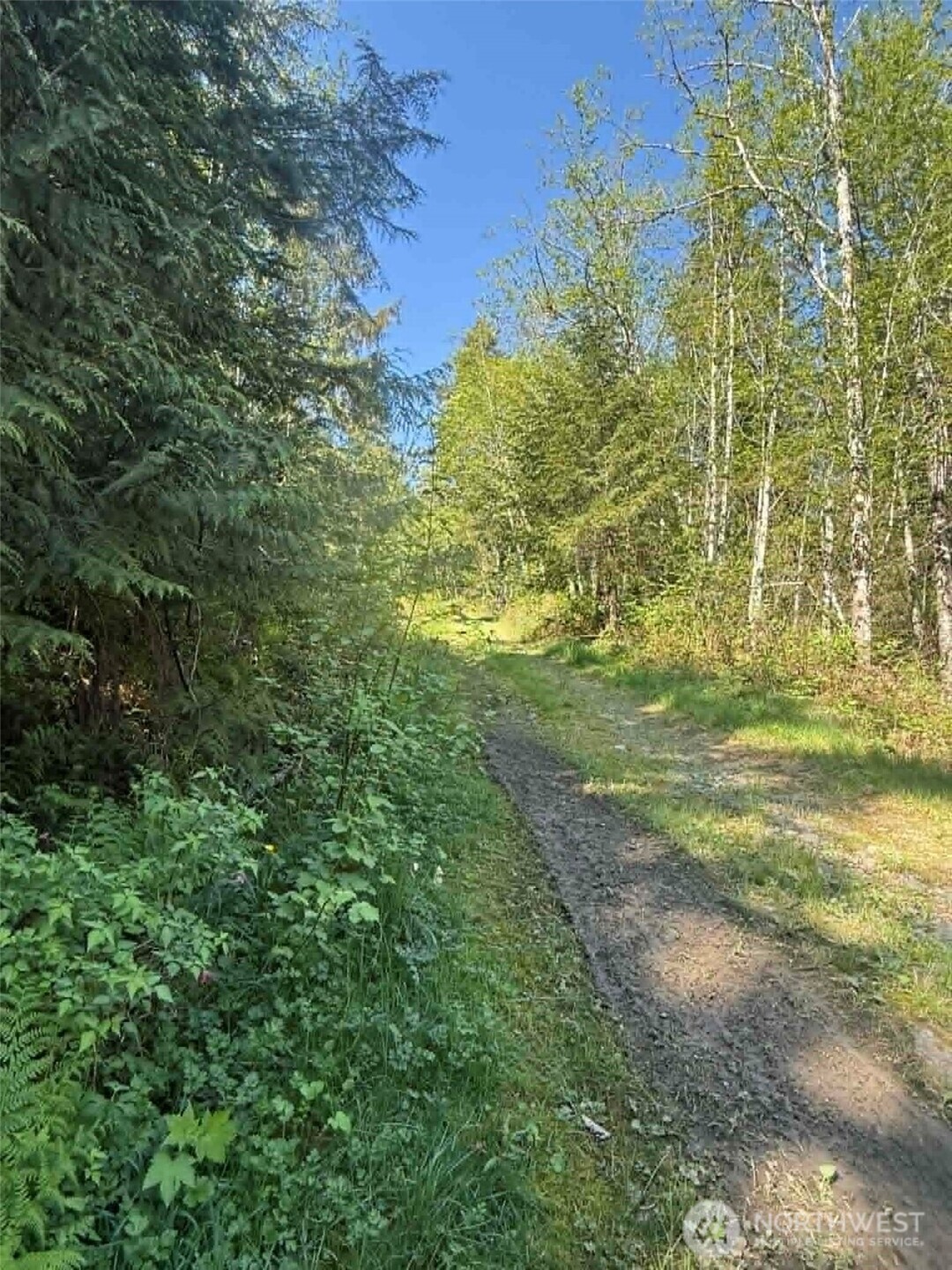 32933 Se Kent Kangley Road Property Photo 4