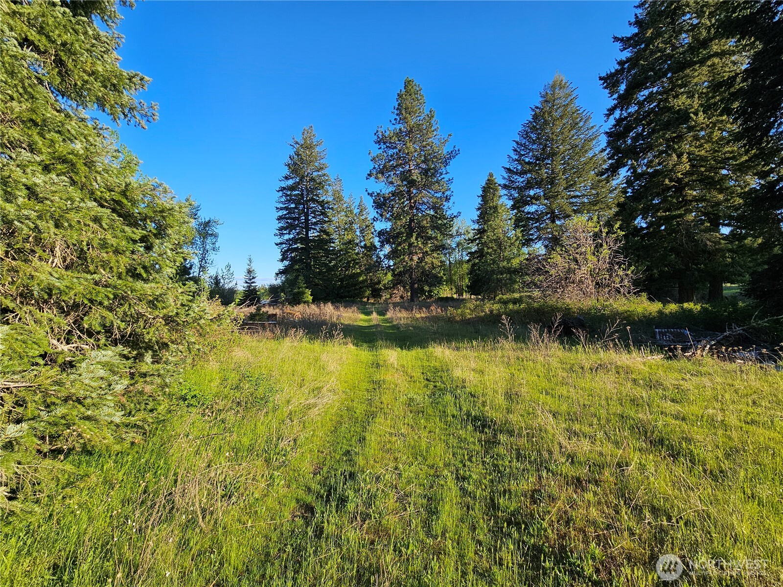2 Xxxx E Eloika Lake Road Property Photo 5