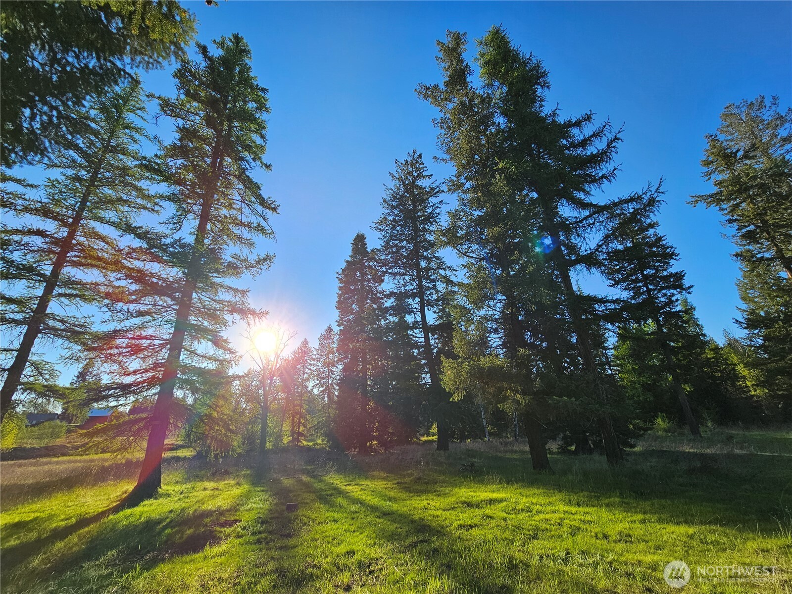2 Xxxx E Eloika Lake Road Property Photo 6