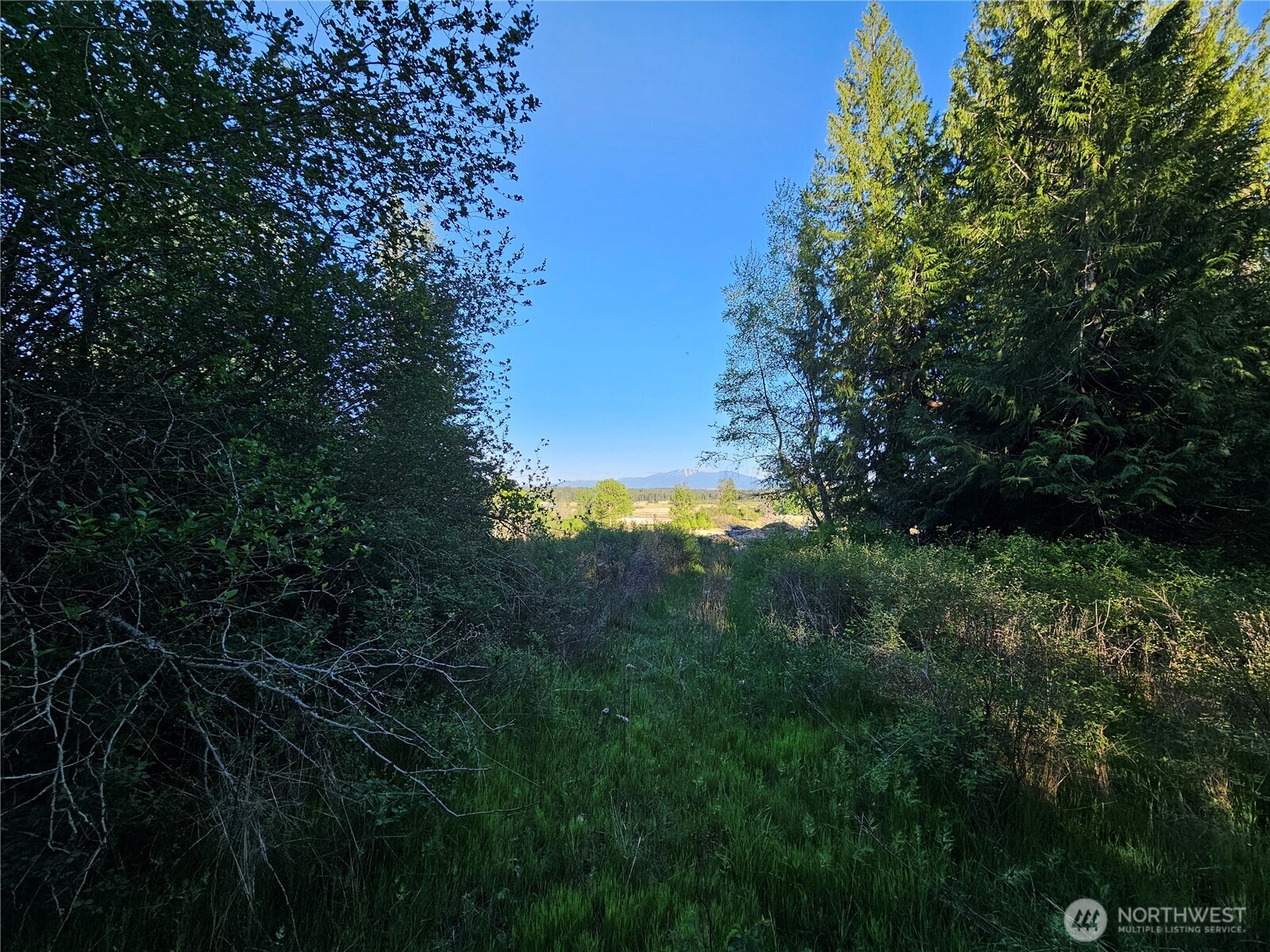 2 Xxxx E Eloika Lake Road Property Photo 16