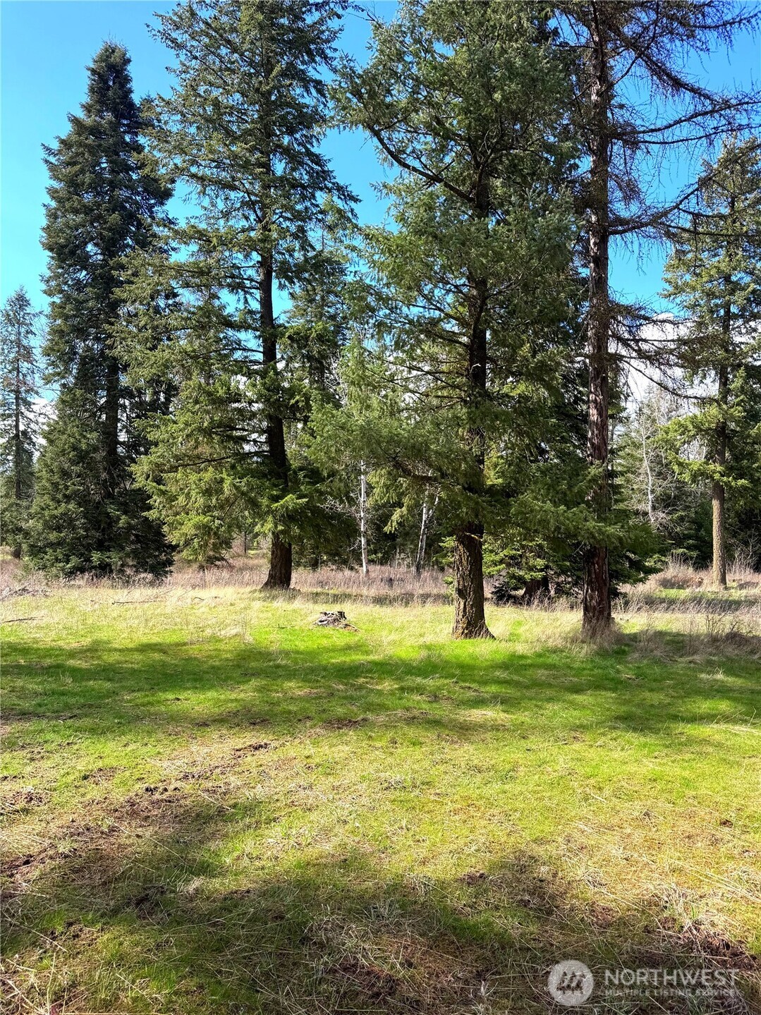 2 Xxxx E Eloika Lake Road Property Photo 18