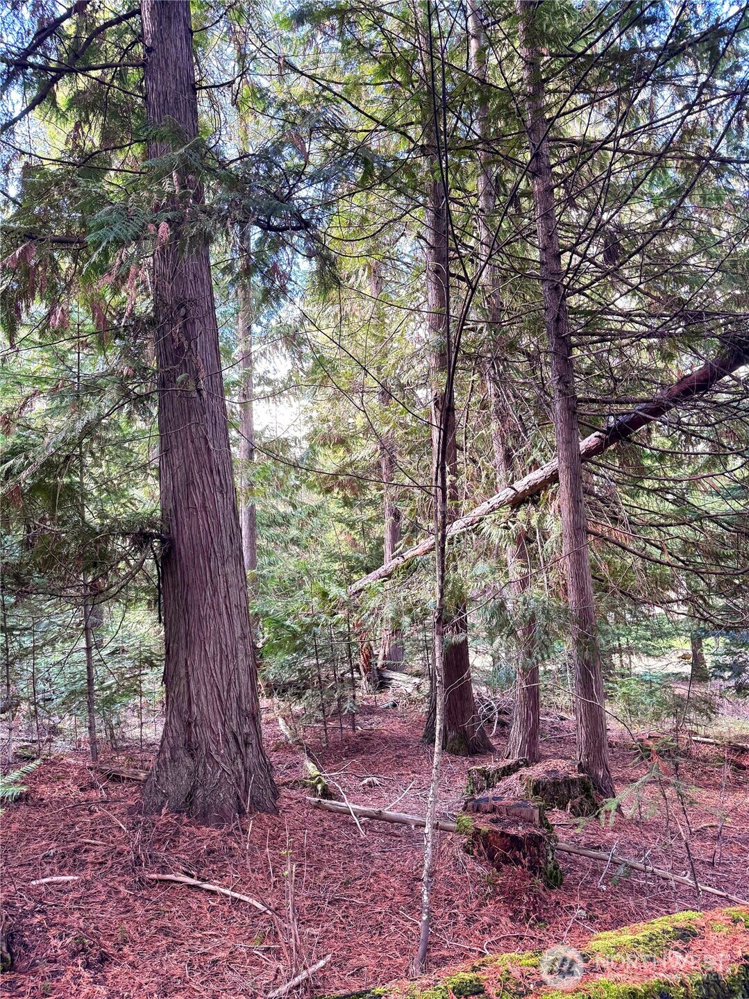 2 Xxxx E Eloika Lake Road Property Photo 21