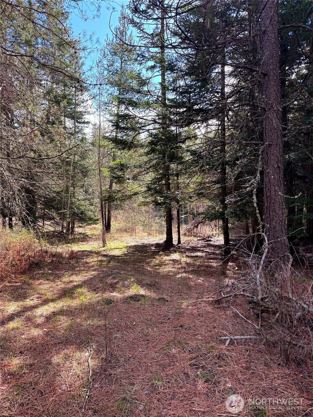 2 Xxxx E Eloika Lake Road Property Photo 22