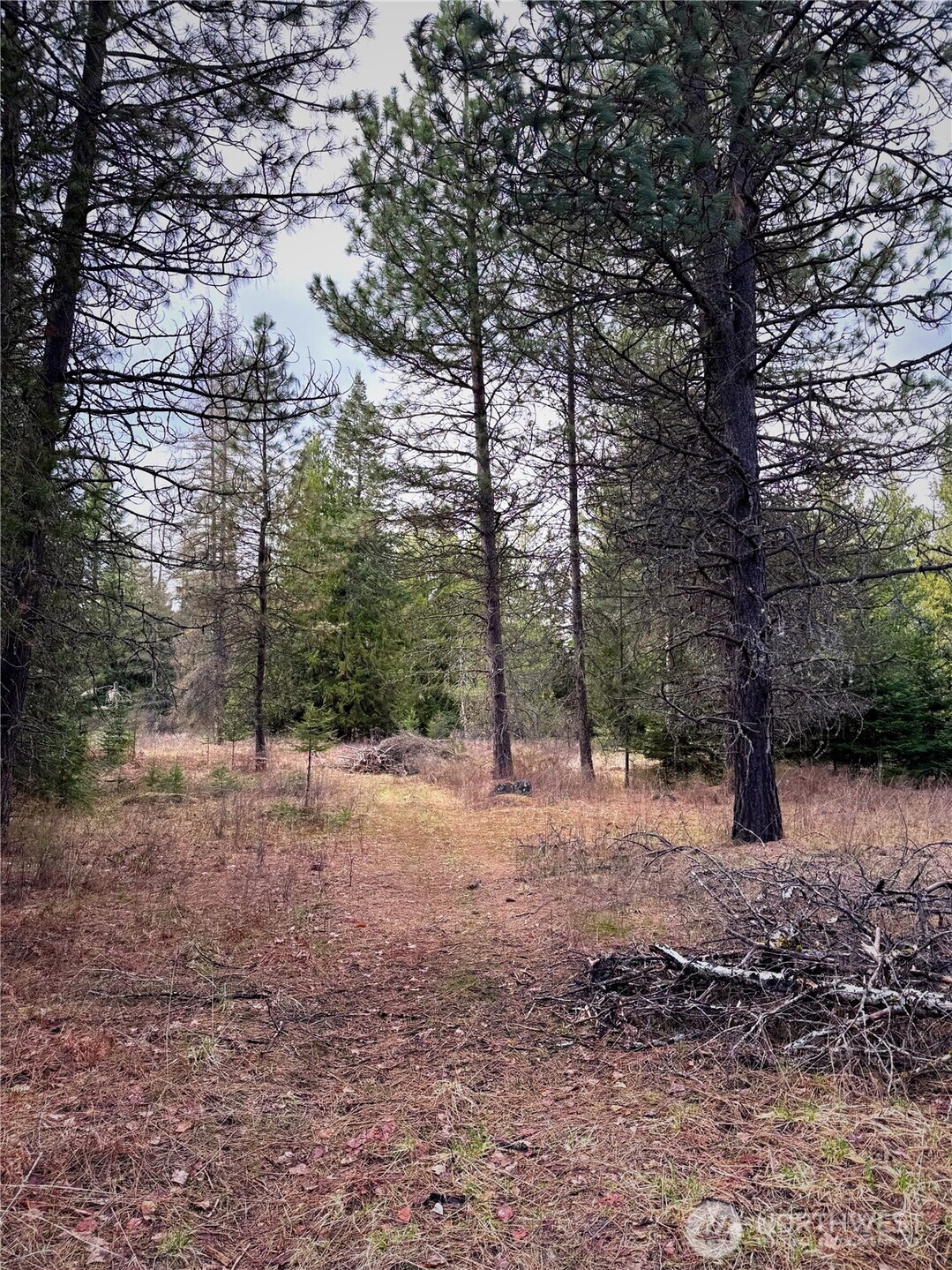 2 Xxxx E Eloika Lake Road Property Photo 23