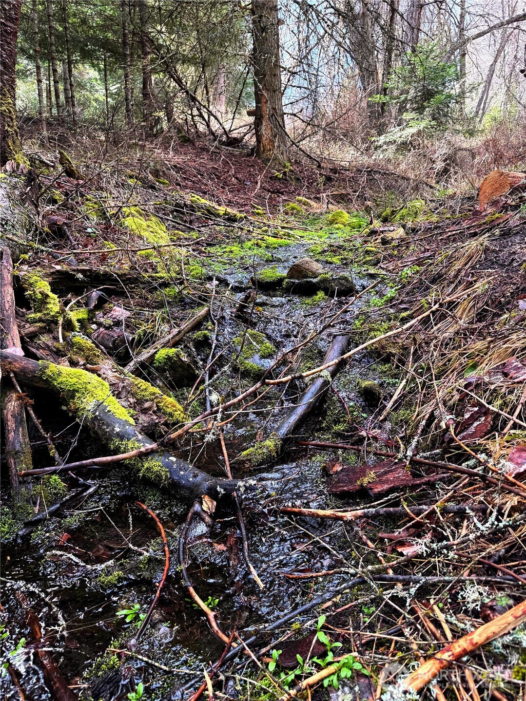 2 Xxxx E Eloika Lake Road Property Photo 24