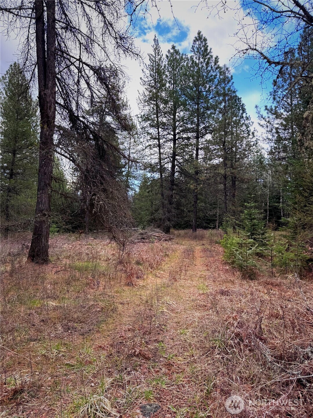 2 Xxxx E Eloika Lake Road Property Photo 25