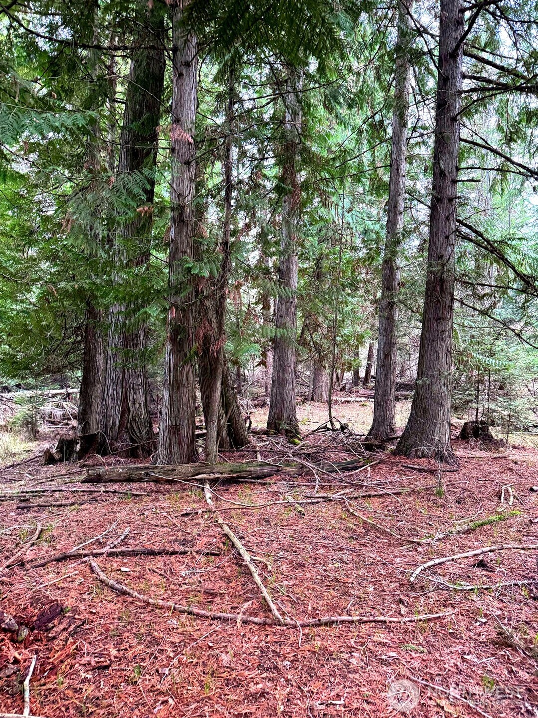2 Xxxx E Eloika Lake Road Property Photo 27
